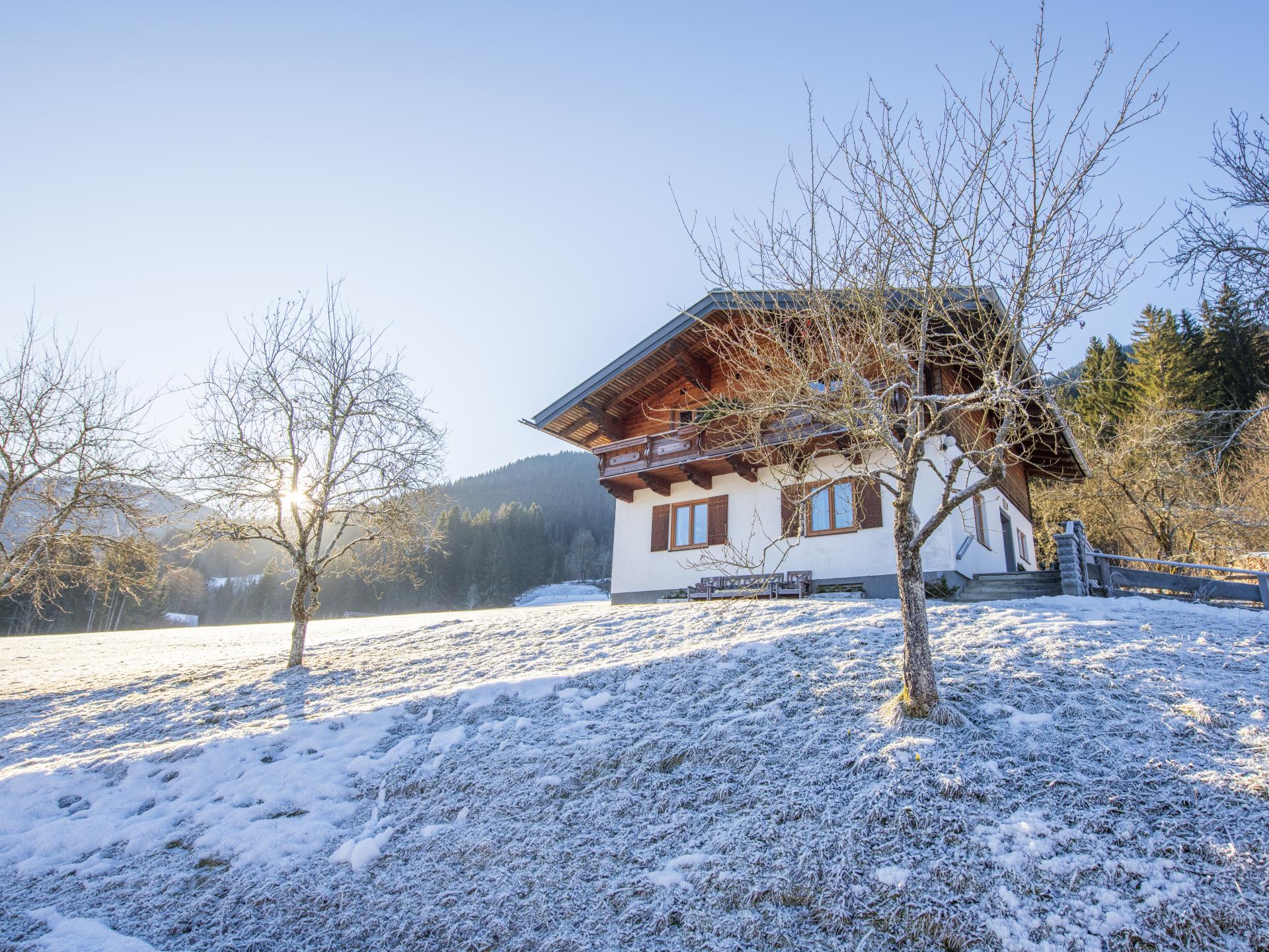 Vrijstaand vakantiehuis op biologische boerderij met panoramisch uitzicht in Hüttau - foto 32