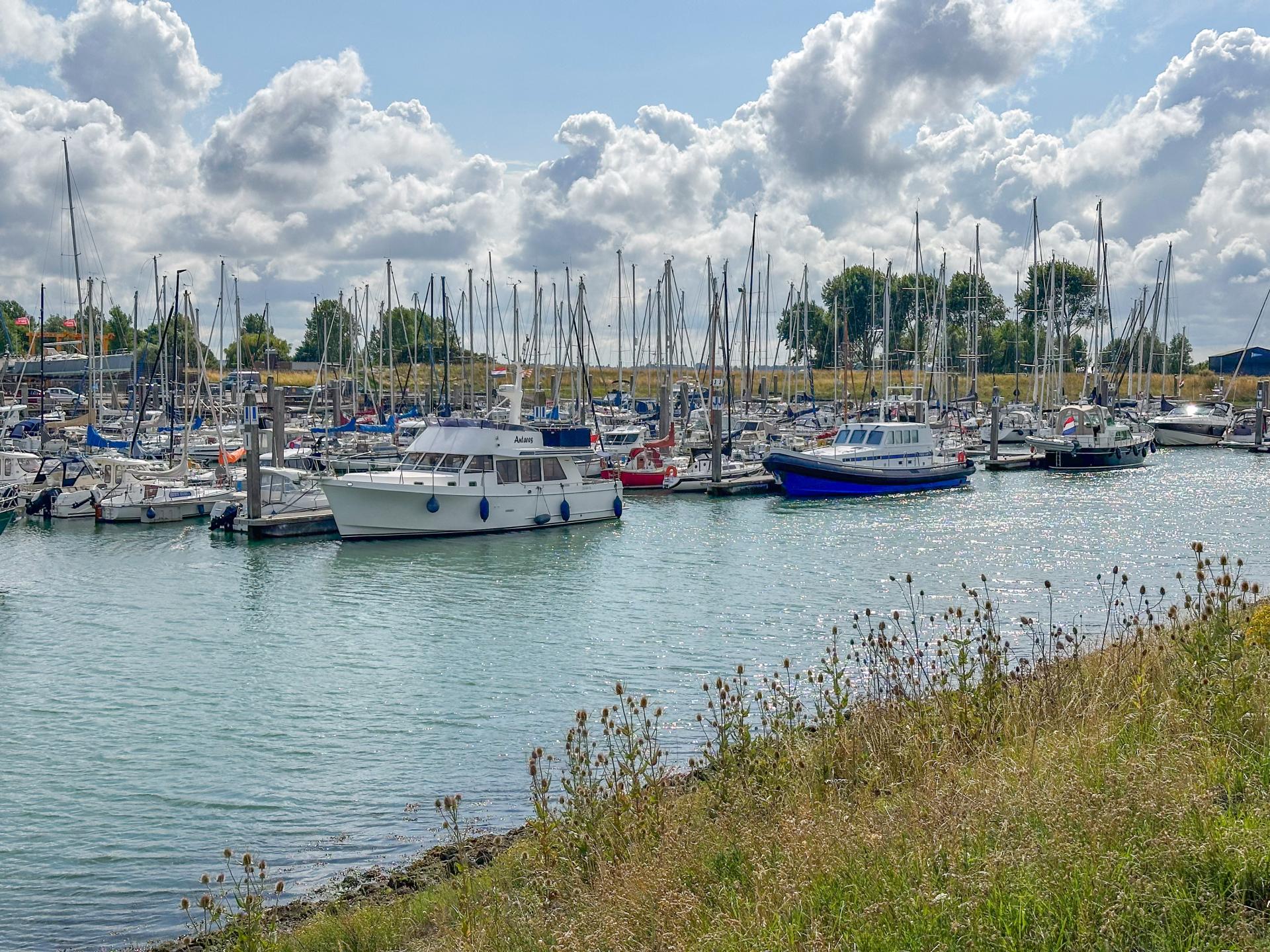 Luxe appartement met sauna en spa-bad op 500m van het Noordzeestrand - foto 17
