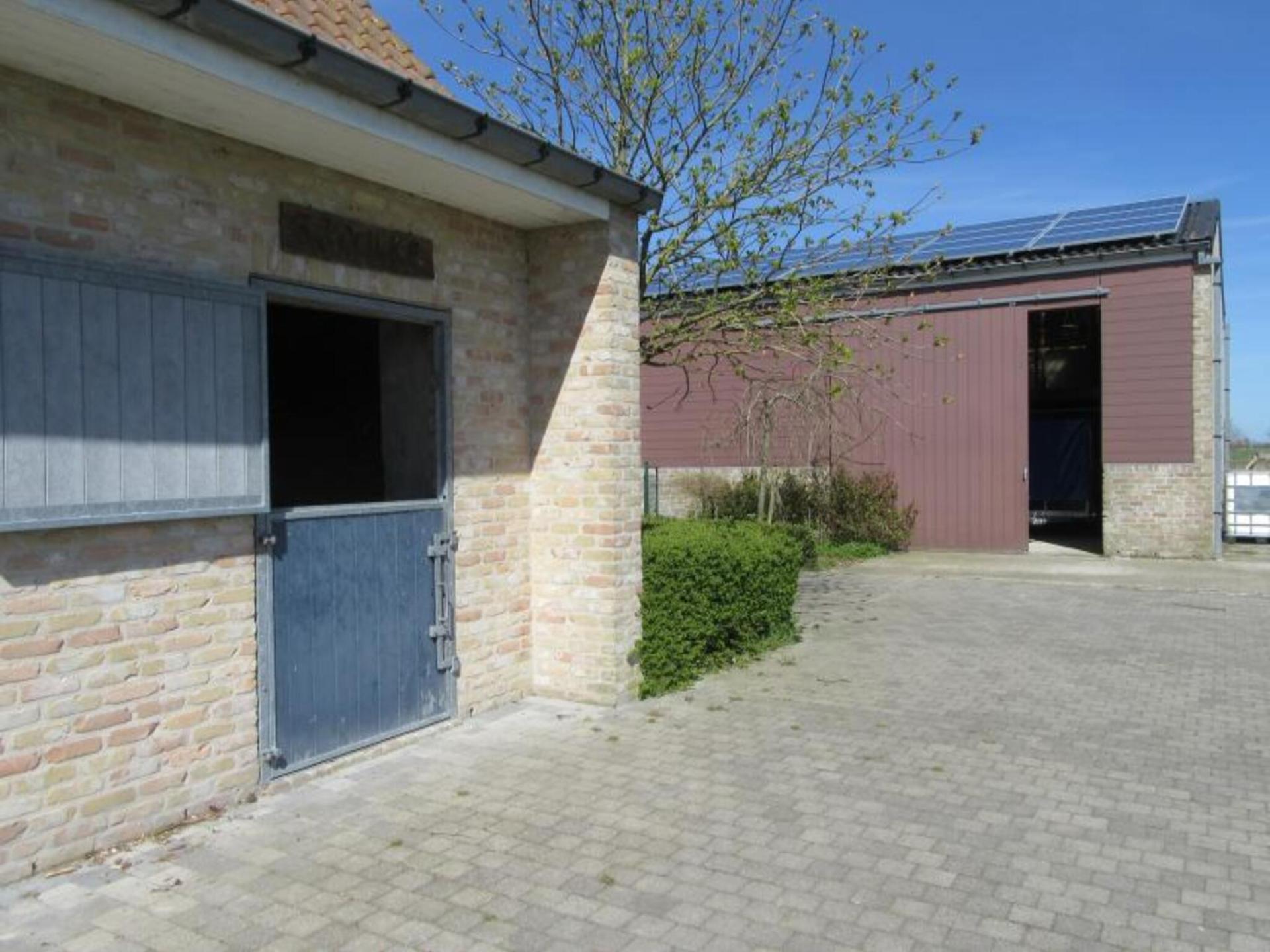 8-persoons vrijstaand vakantiehuis in Diksmuide met sauna en tuin - foto 49