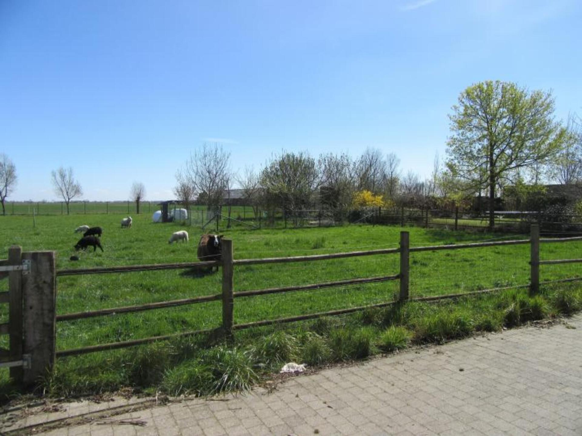 8-persoons vrijstaand vakantiehuis in Diksmuide met sauna en tuin - foto 45