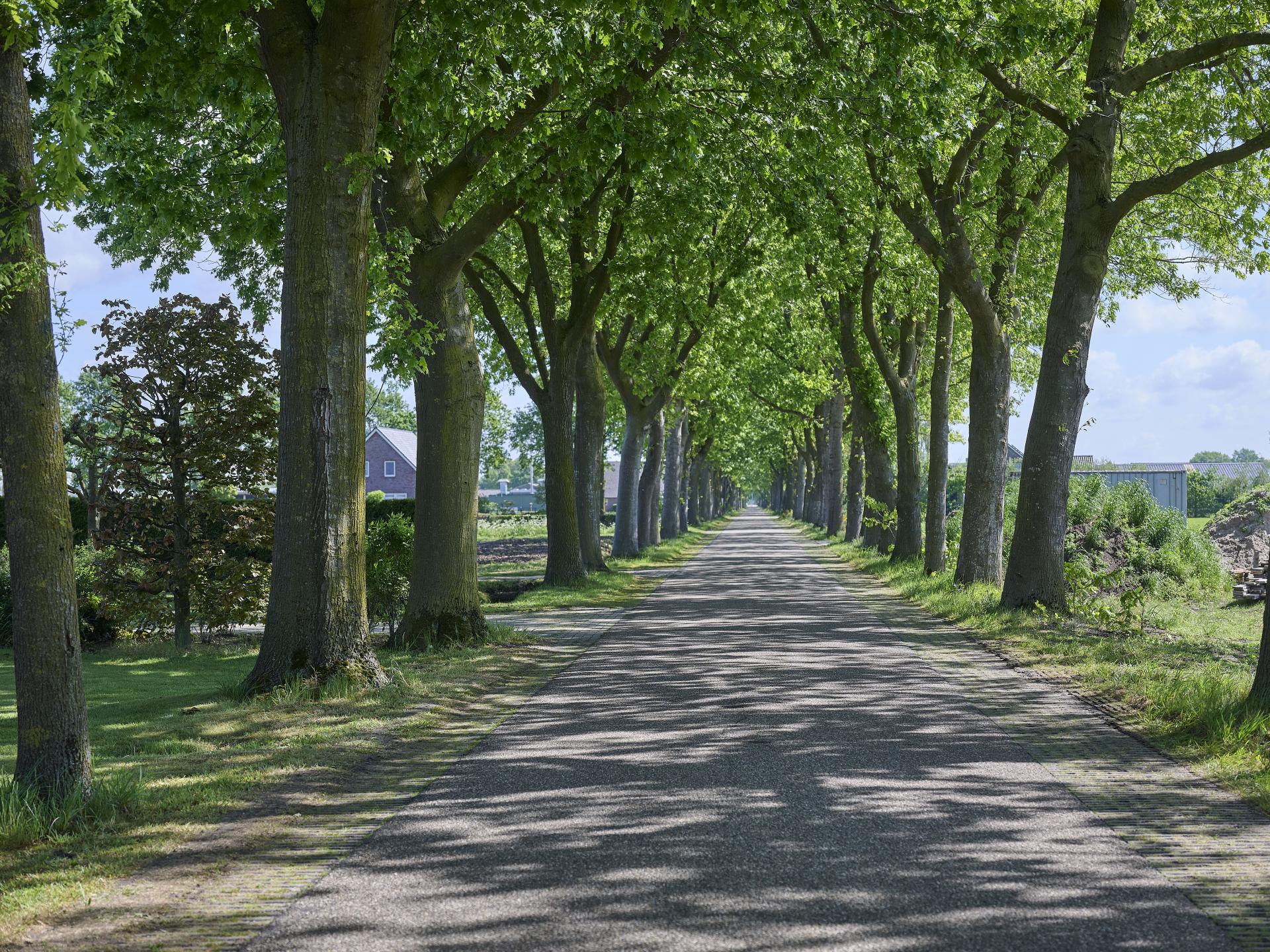 Sfeervolle groepsboerderij in Elsendorp met biljart en overdekte recreatieschuur - foto 41