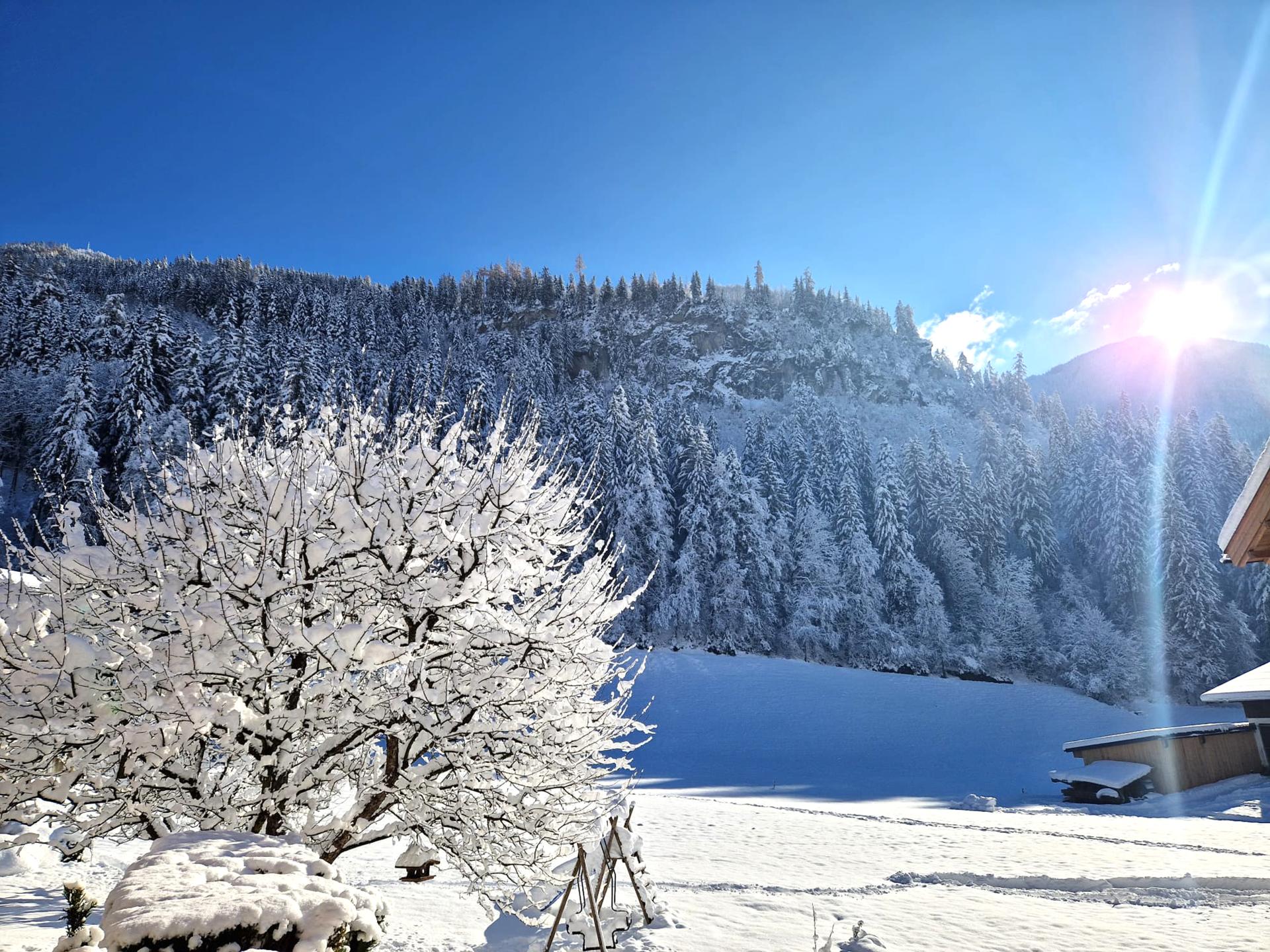 Authentiek chalet voor 10 personen in Ramsau, 50 meter van de piste - foto 37