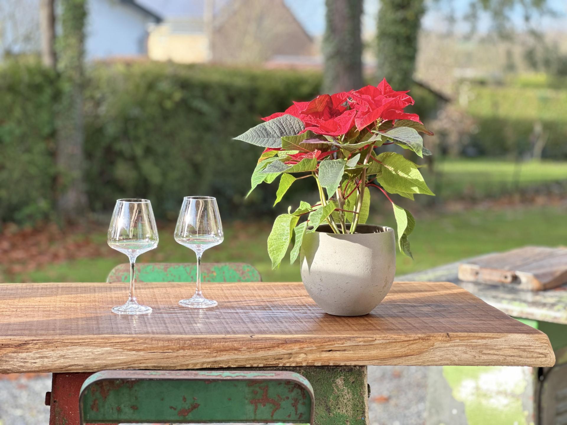 Romantische cottage met privé spa op 230m van historisch Durbuy - foto 7