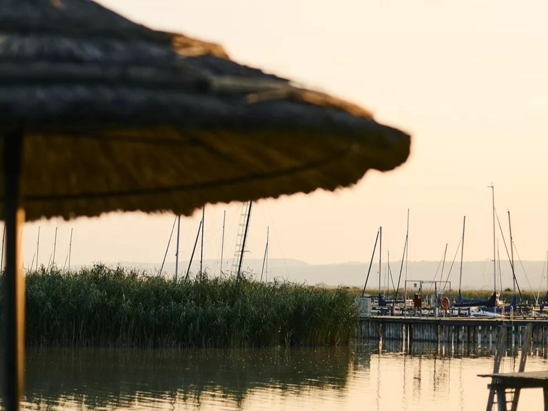 Vakantiehuis met privésauna en weids uitzicht over de Neusiedlersee - foto 20