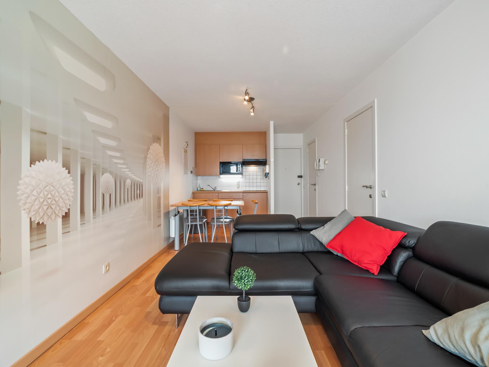 4-persoons appartement met zeezicht in centrum Blankenberge · 4 pers. - foto 6