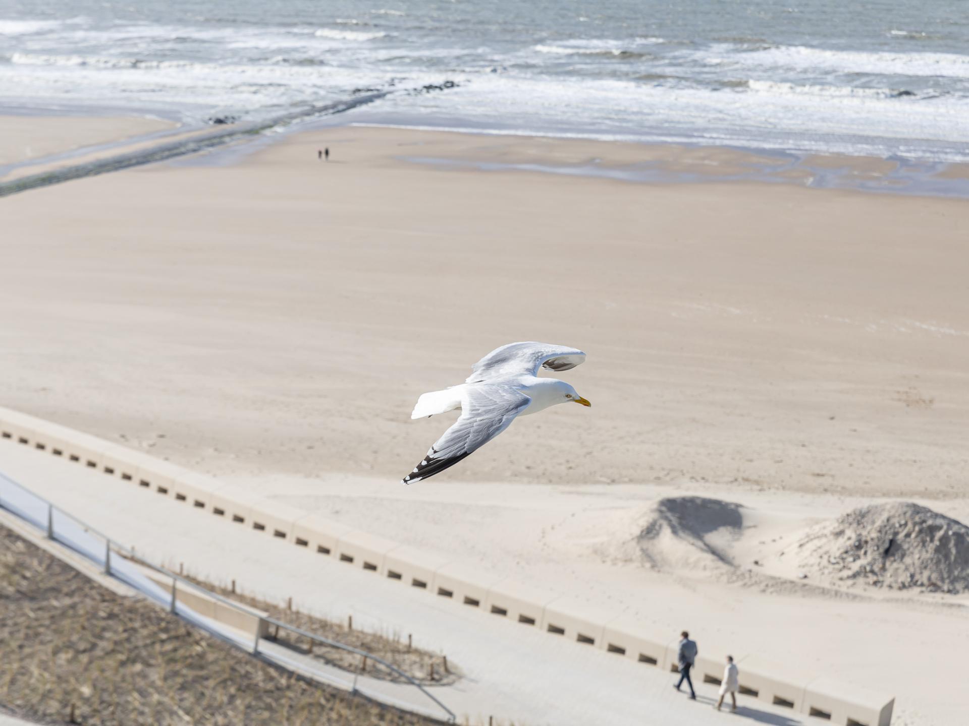 Zonnig appartement op de 7e verdieping met weids zeezicht in Middelkerke - foto 15