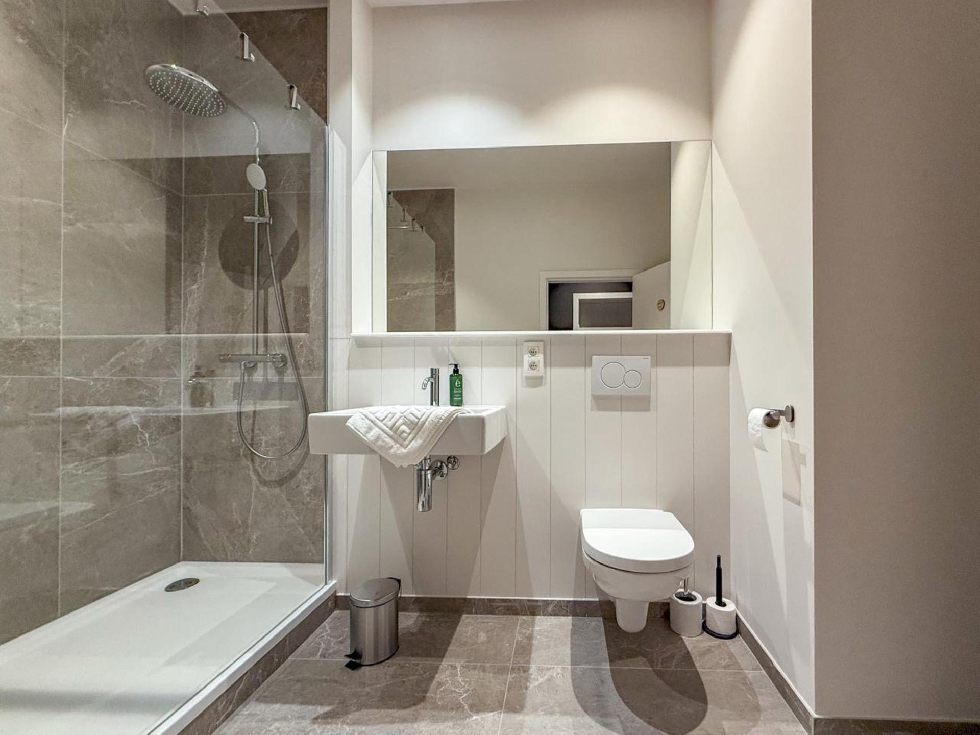 Groots 19e-eeuws vakantiehuis voor 26 personen met sauna en pooltafel in Houyet - foto 27