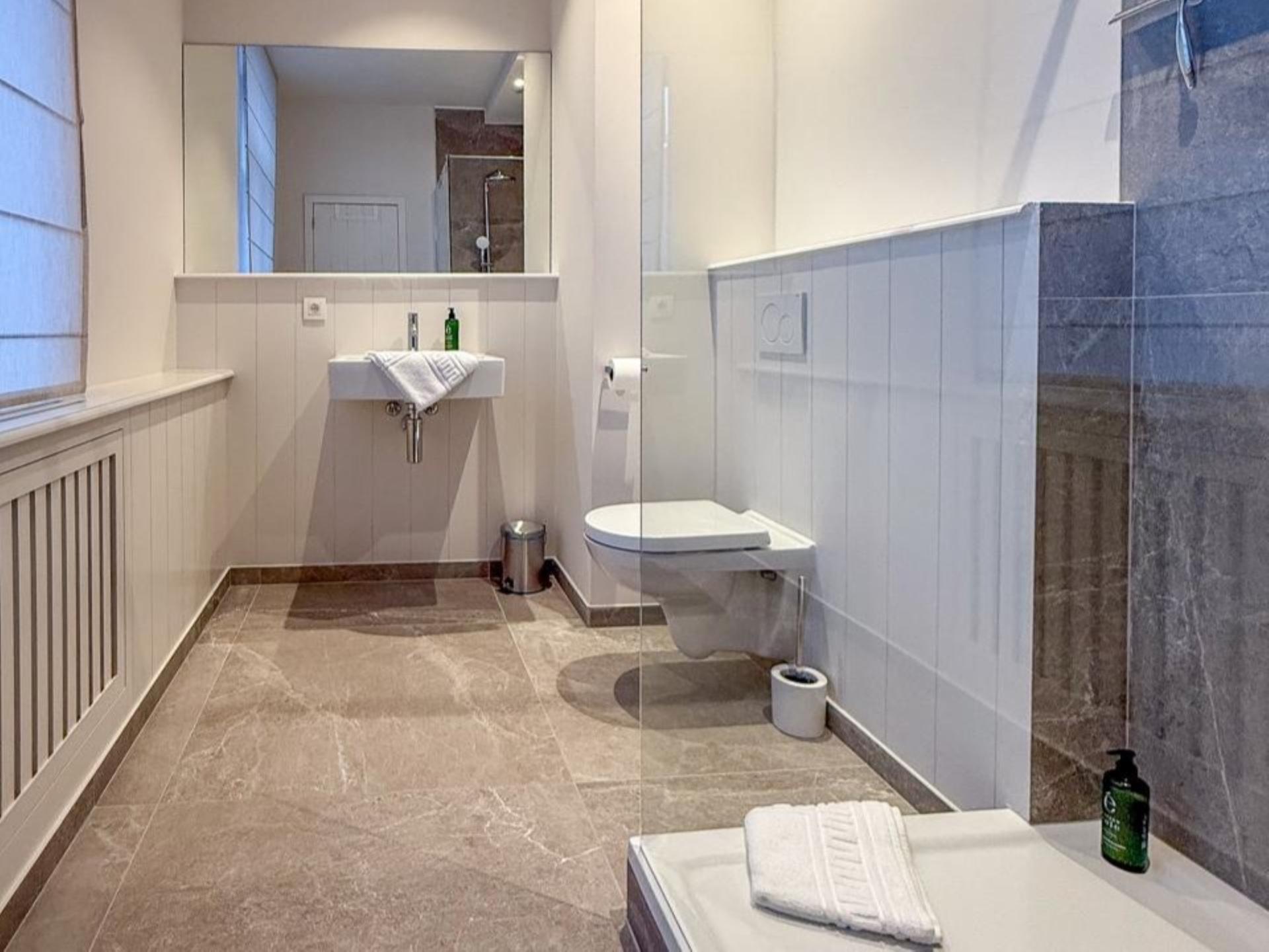 Groots 19e-eeuws vakantiehuis voor 26 personen met sauna en pooltafel in Houyet - foto 24