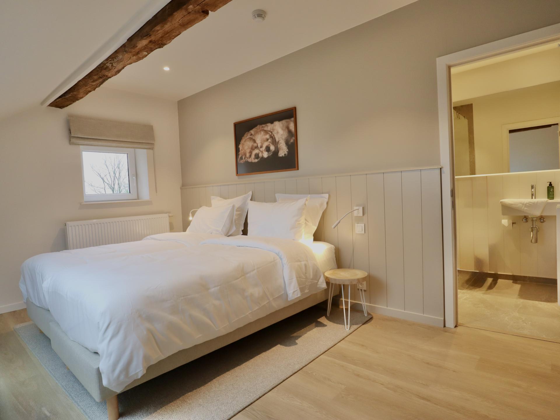 Groots 19e-eeuws vakantiehuis voor 26 personen met sauna en pooltafel in Houyet - foto 45