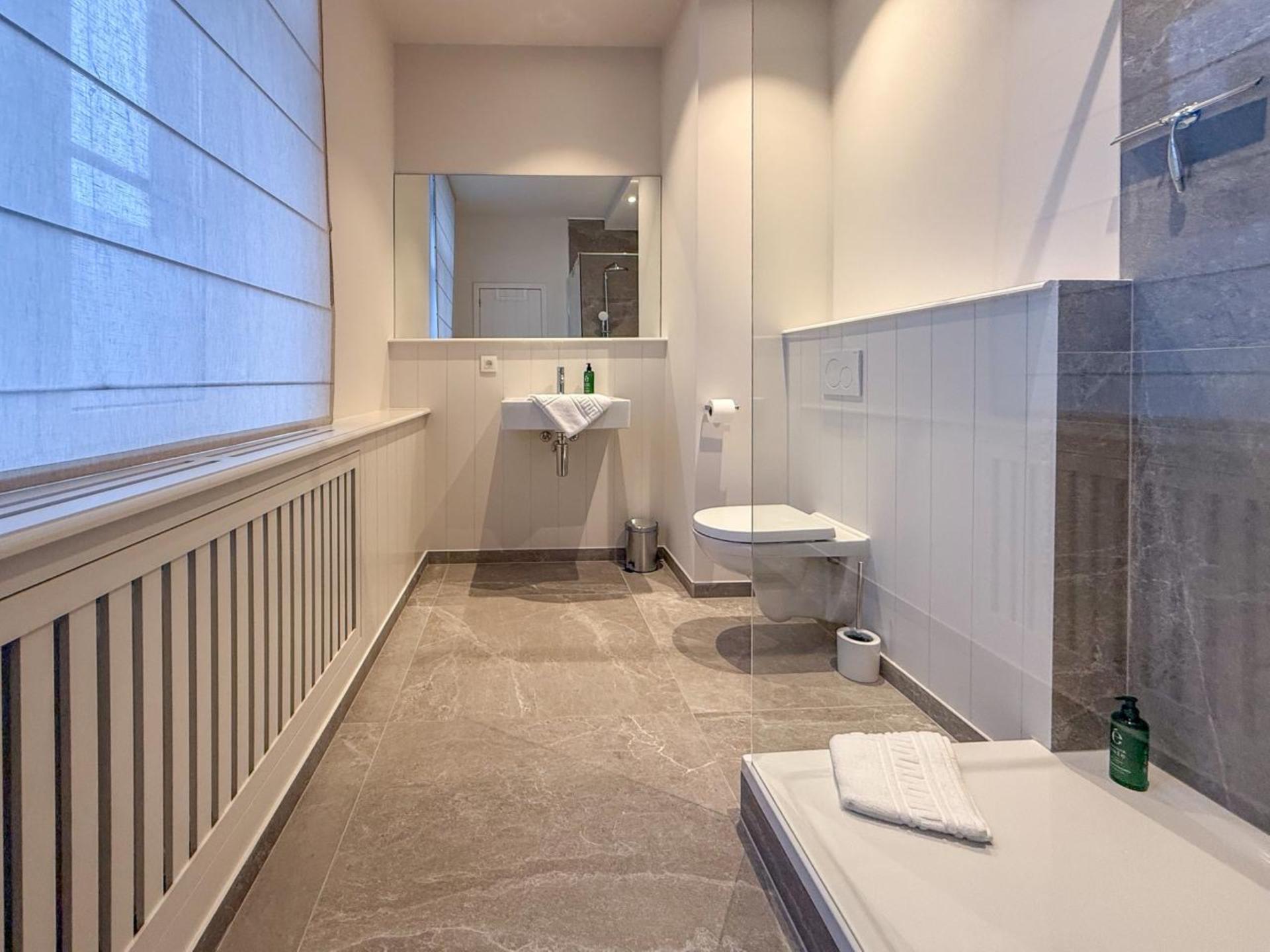 Groots 19e-eeuws vakantiehuis voor 26 personen met sauna en pooltafel in Houyet - foto 20