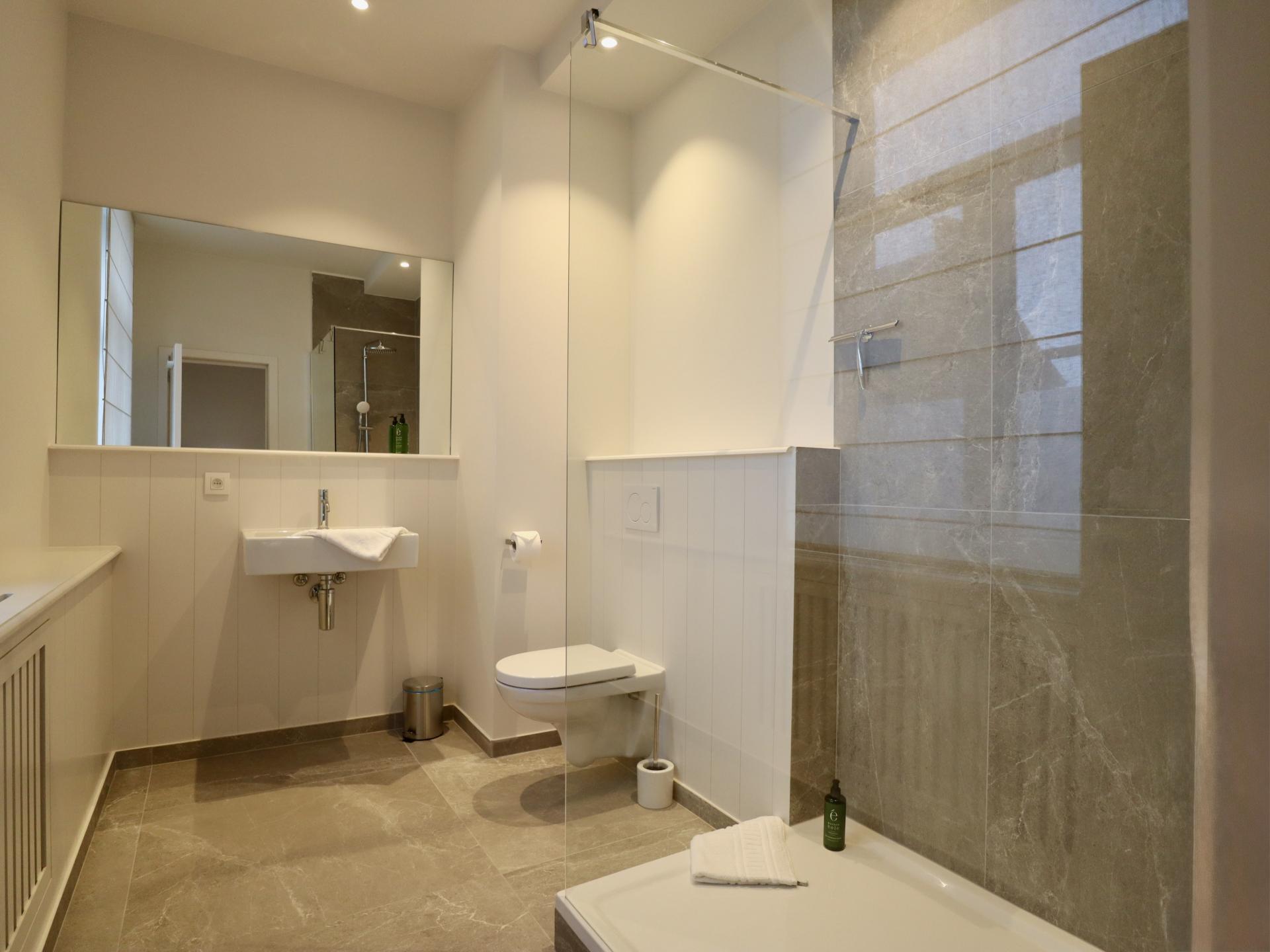 Groots 19e-eeuws vakantiehuis voor 26 personen met sauna en pooltafel in Houyet - foto 34