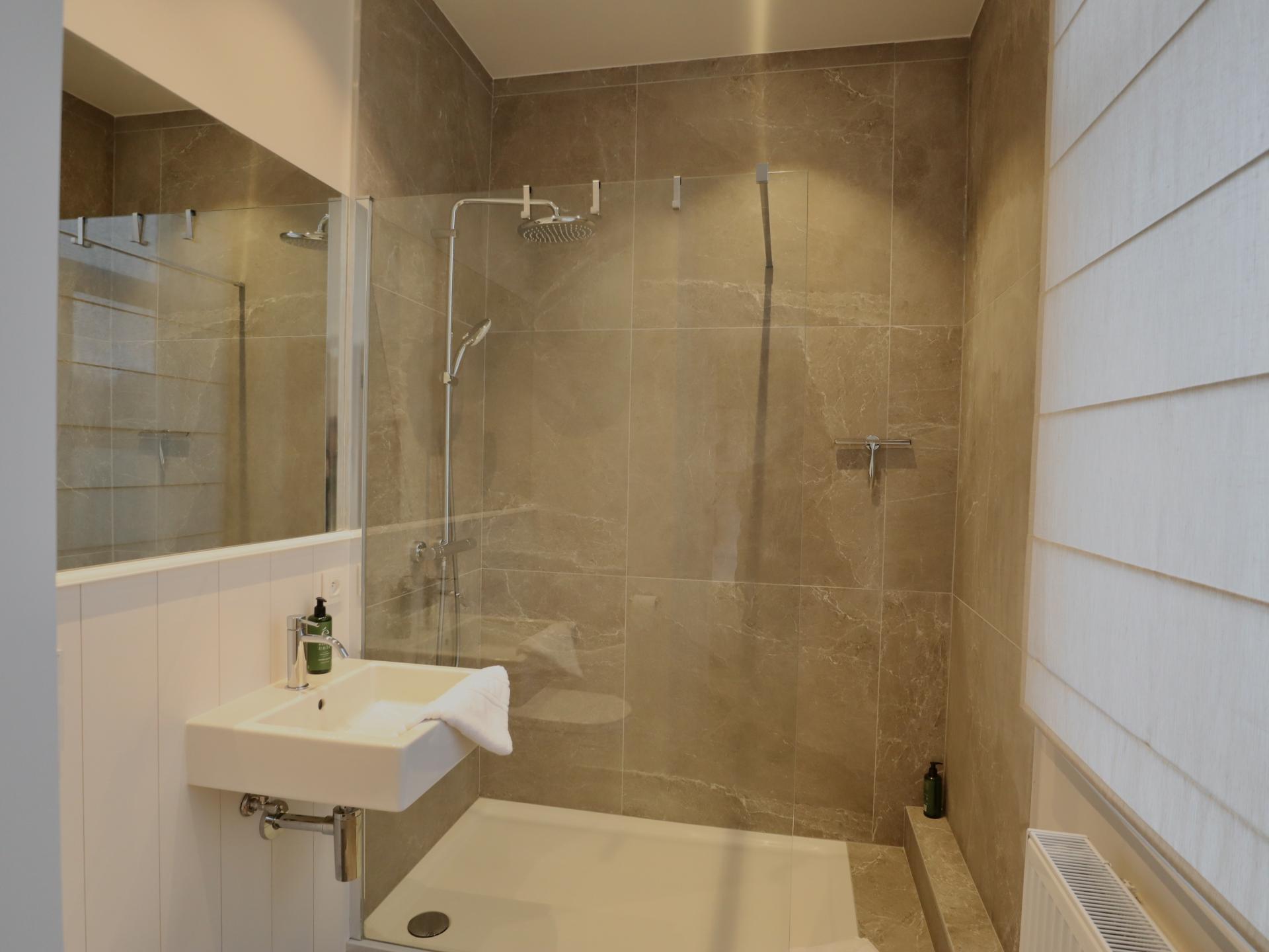 Groots 19e-eeuws vakantiehuis voor 26 personen met sauna en pooltafel in Houyet - foto 41