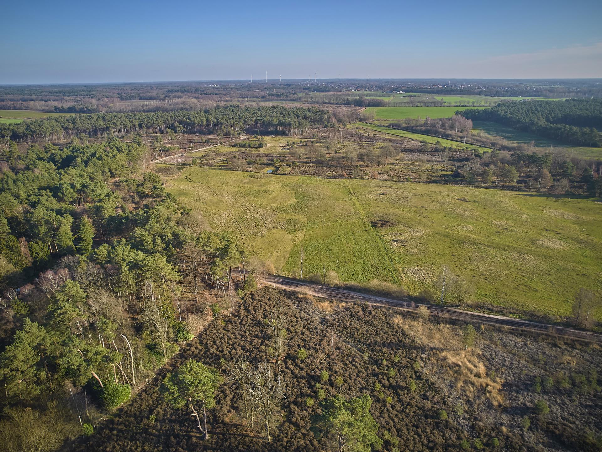 Vrijstaande boslodge voor 5 in stiltegebied De Liereman, Oud-Turnhout - foto 10