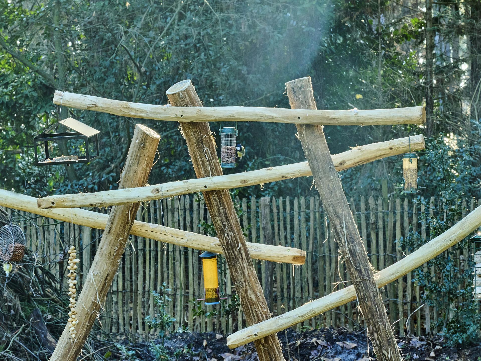 Vrijstaande boslodge voor 5 in stiltegebied De Liereman, Oud-Turnhout - foto 51