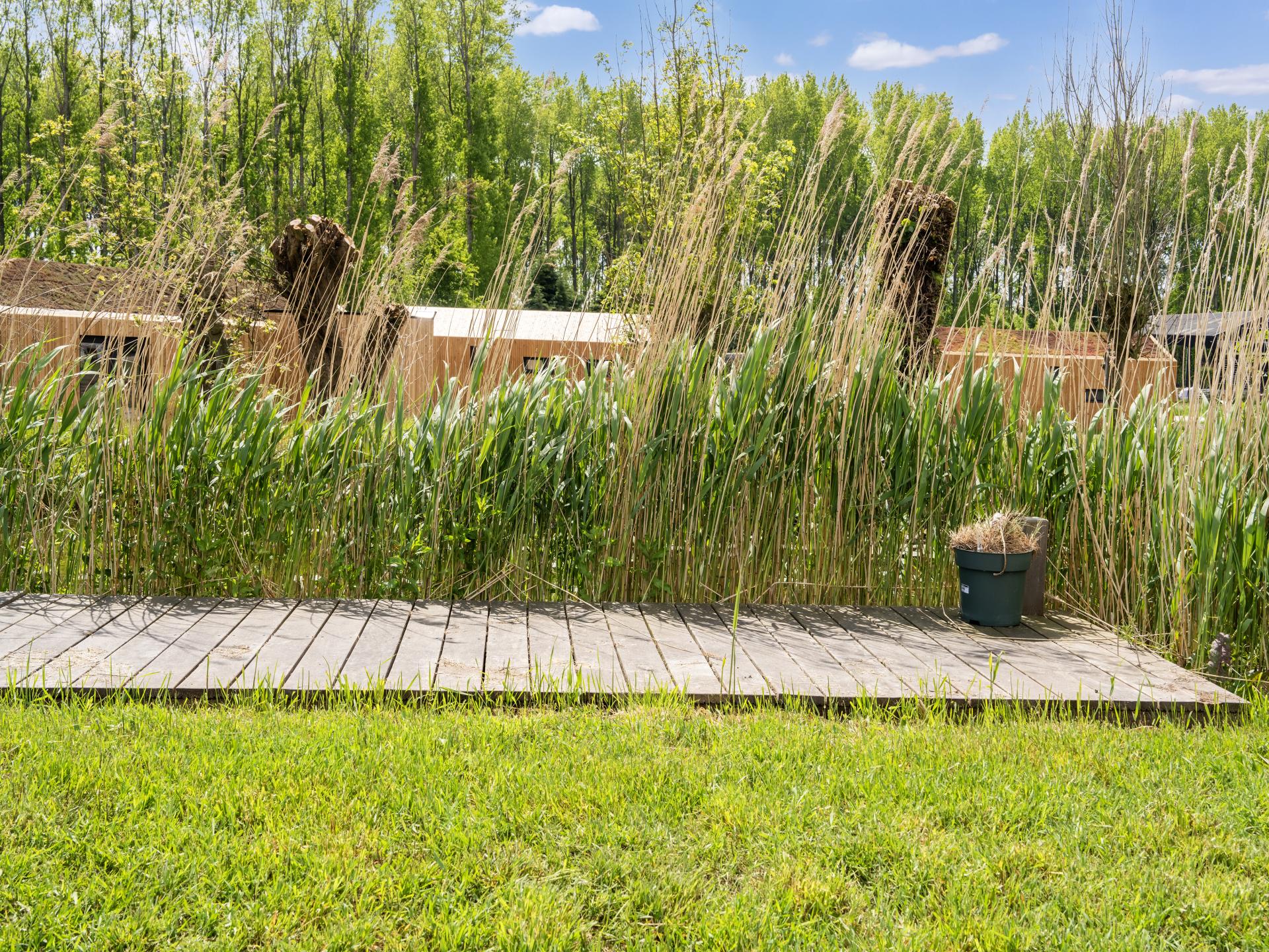 Sfeervol vrijstaand huisje aan het water in Oud Ade bij de Kaag - foto 17