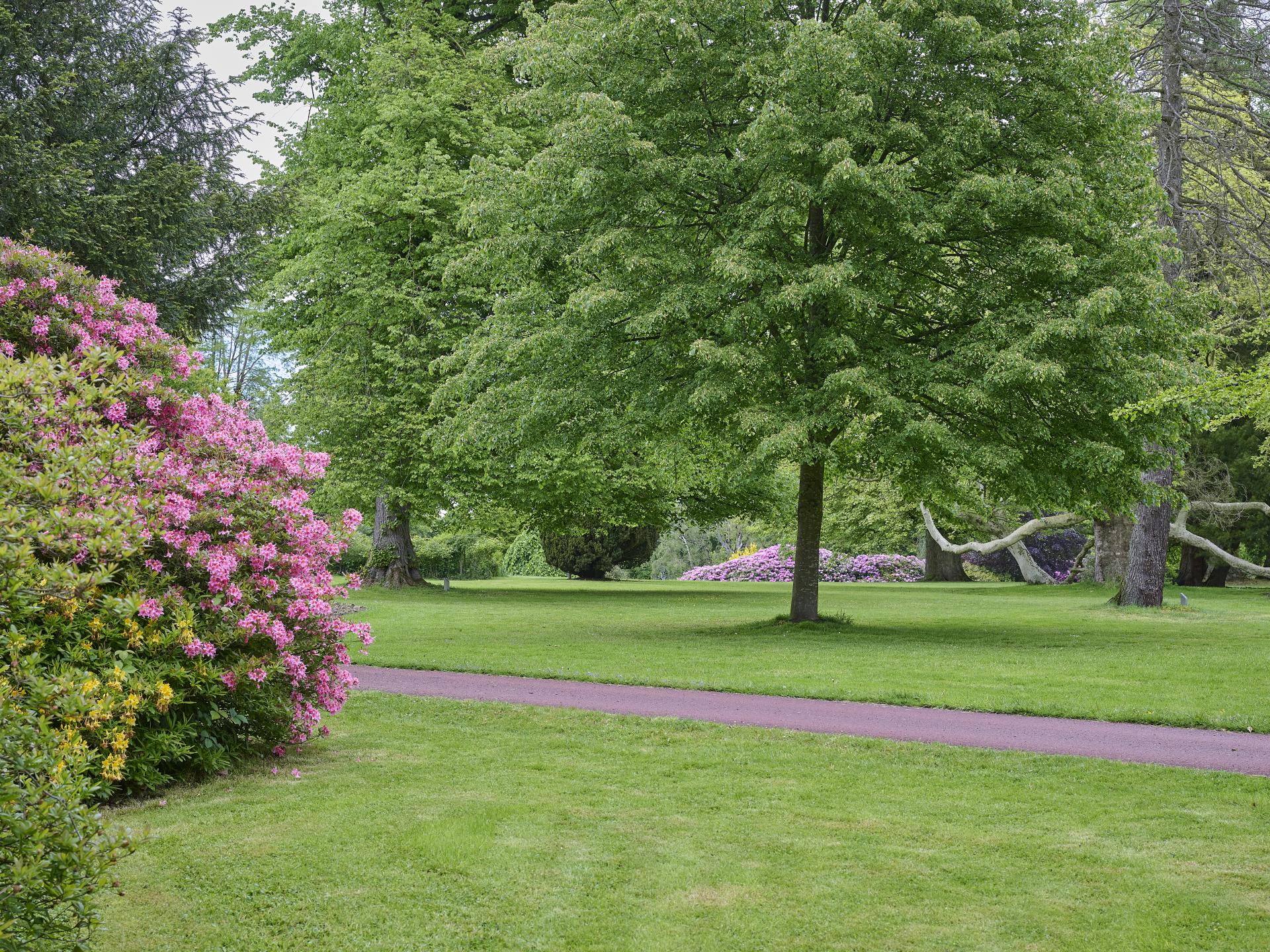 Vrijstaand wellnesshuis in bosrijk Park Kalheupink, Oldenzaal - foto 53