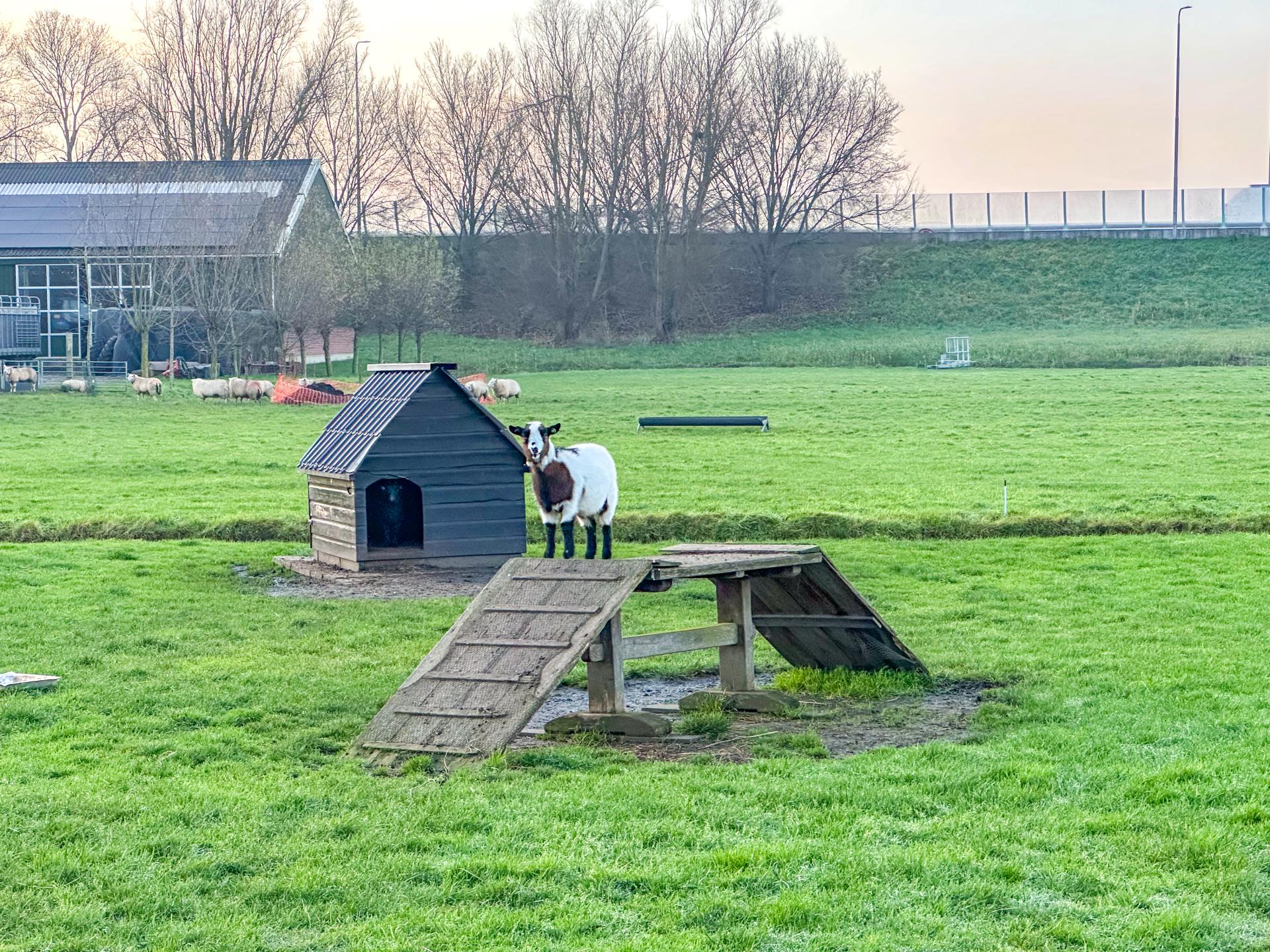 Idyllisch landhuis aan het water in waterrijk Noord-Holland - foto 31