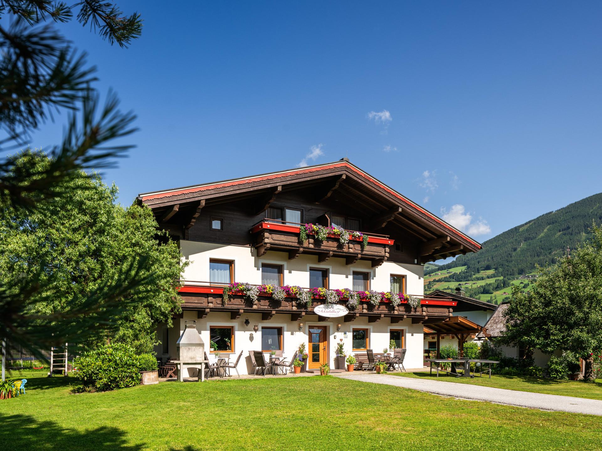 Ruim groepsverblijf voor 27 personen aan de rand van Nationaal Park Hohe Tauern - foto 1
