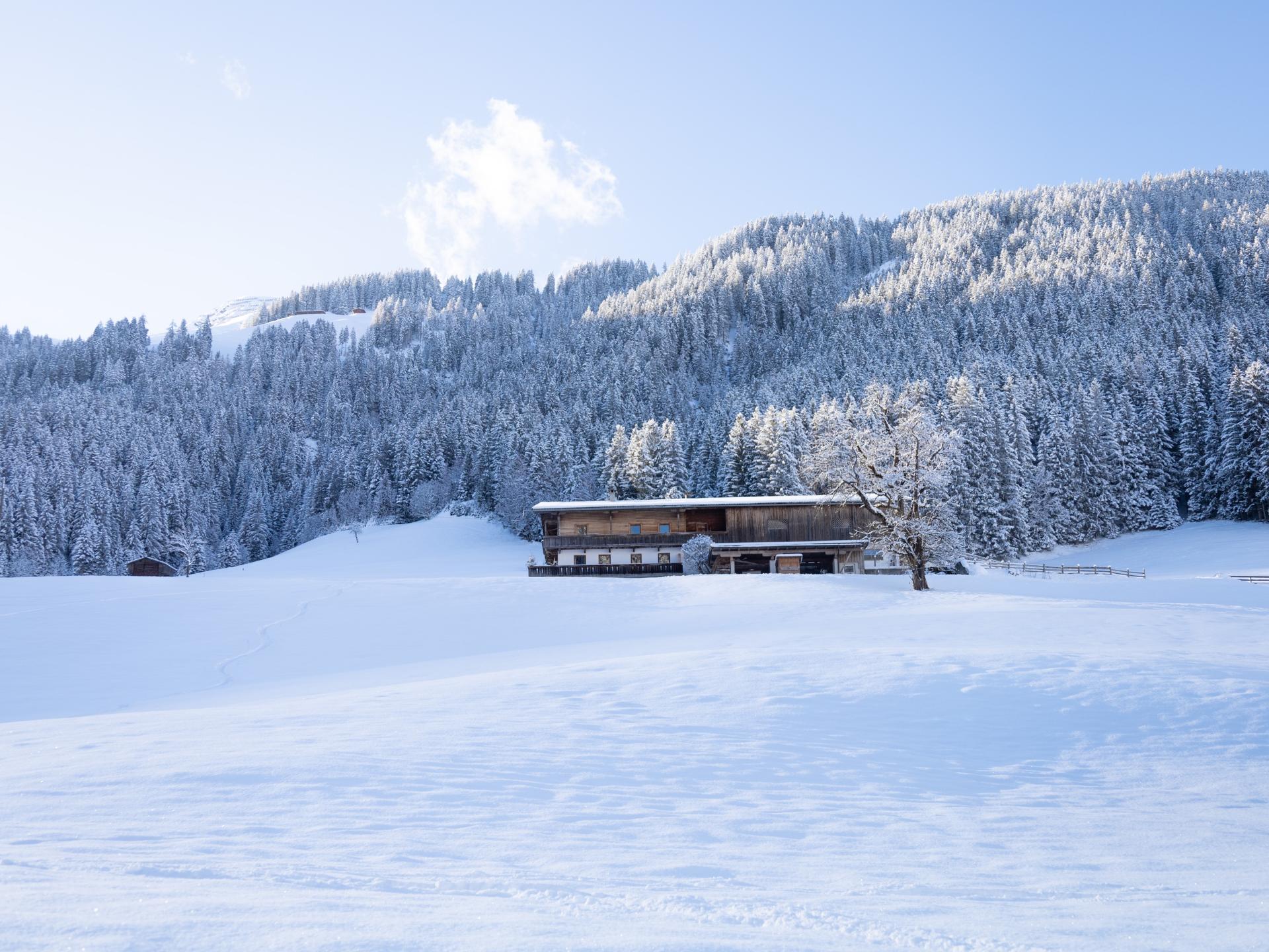 Romantisch appartement met bergpanorama in Alpbach - foto 31