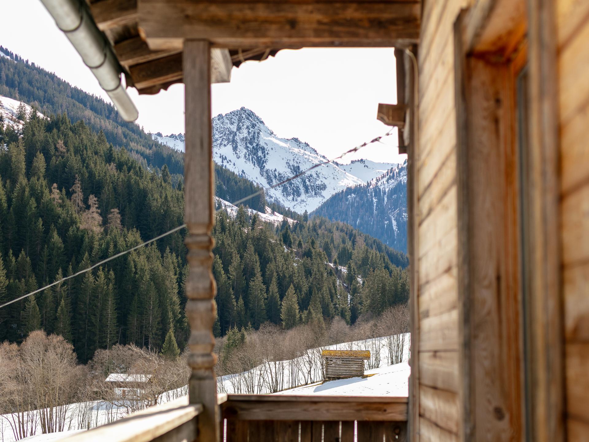 Authentiek appartement in gerenoveerde boerderij met fenomenaal bergpanorama - foto 37