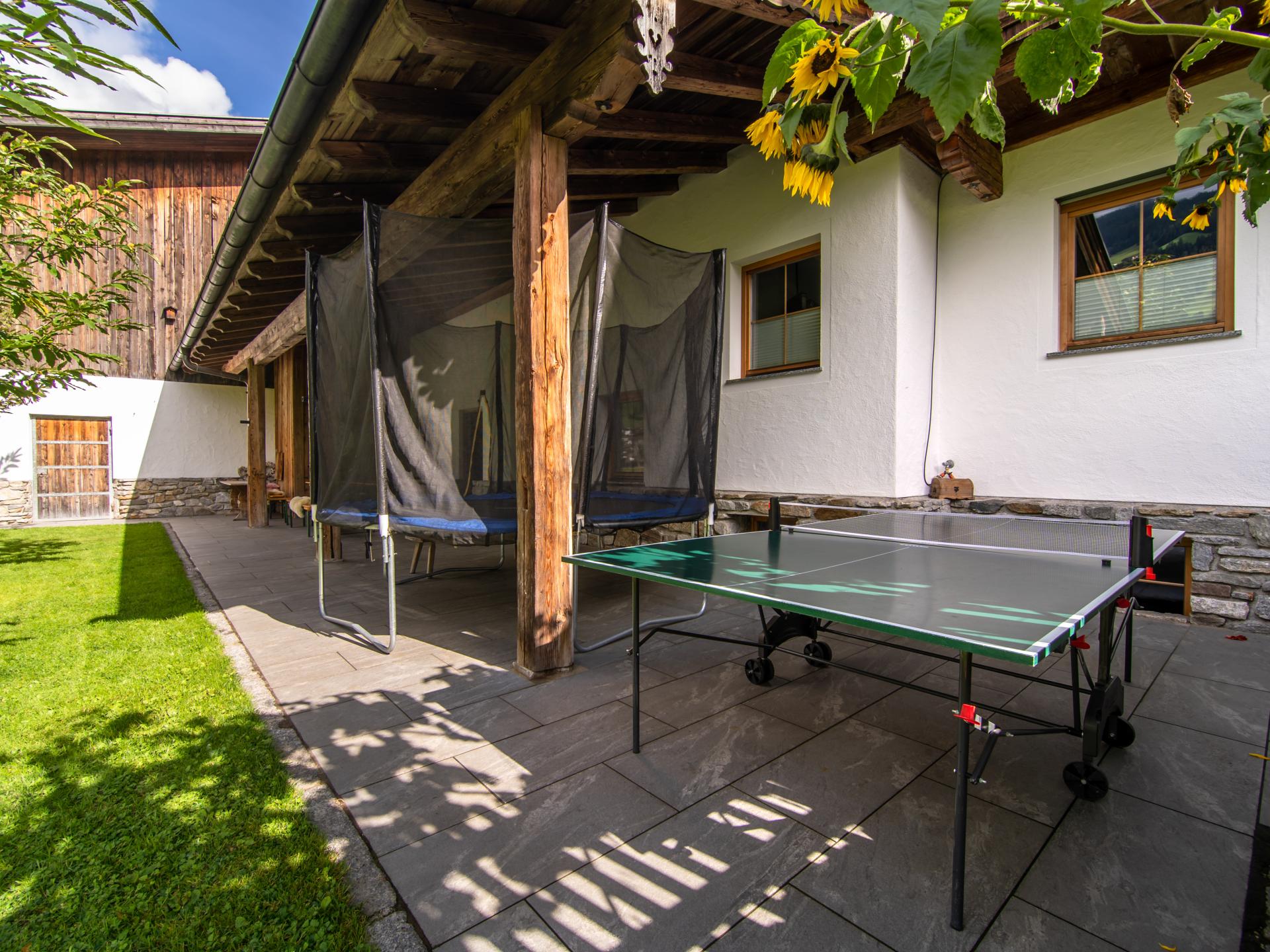Ruime boerderijwoning voor 18 gasten aan de piste bij Mayrhofen - foto 31
