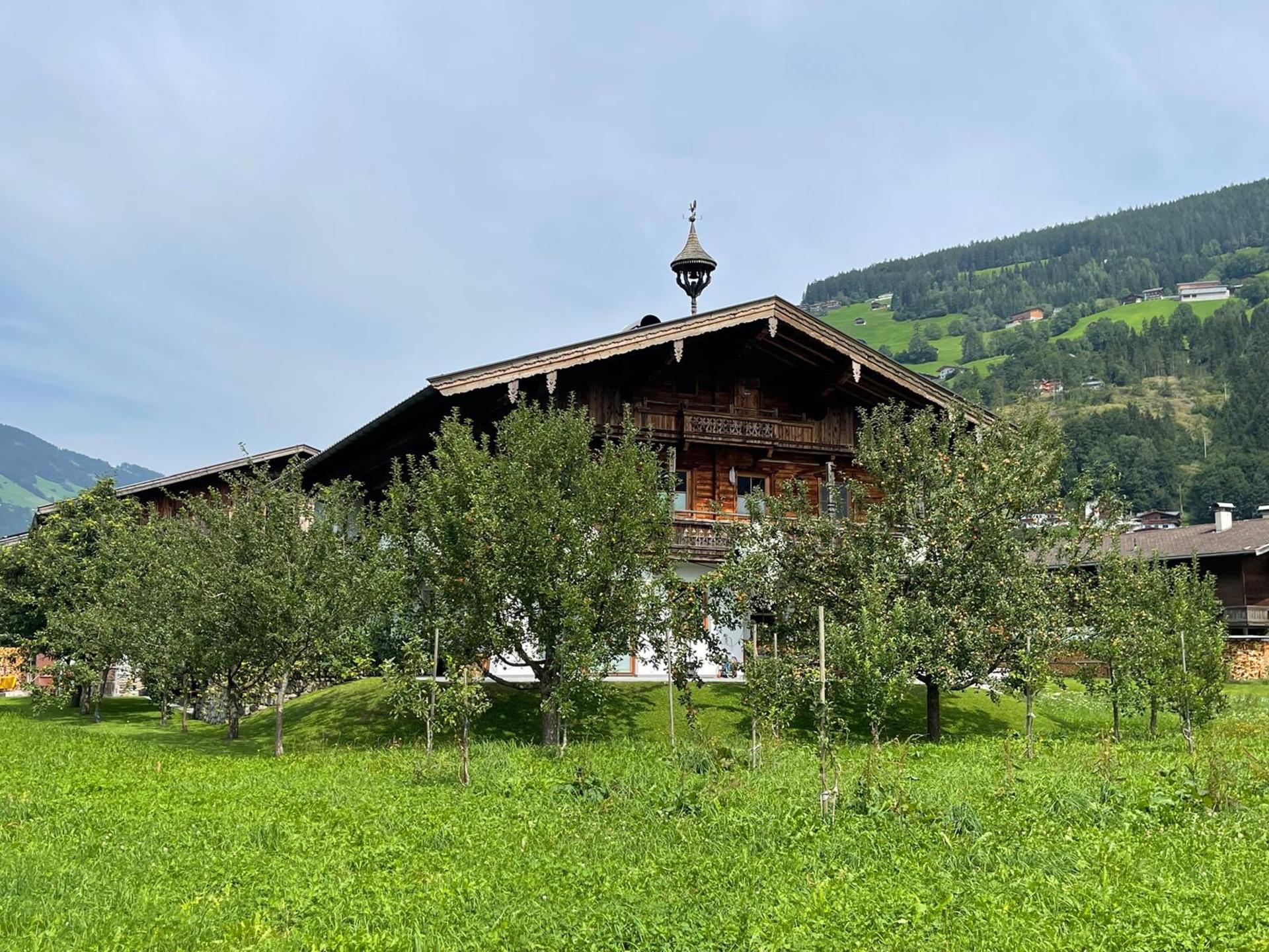 Ruime boerderijwoning voor 18 gasten aan de piste bij Mayrhofen - foto 42