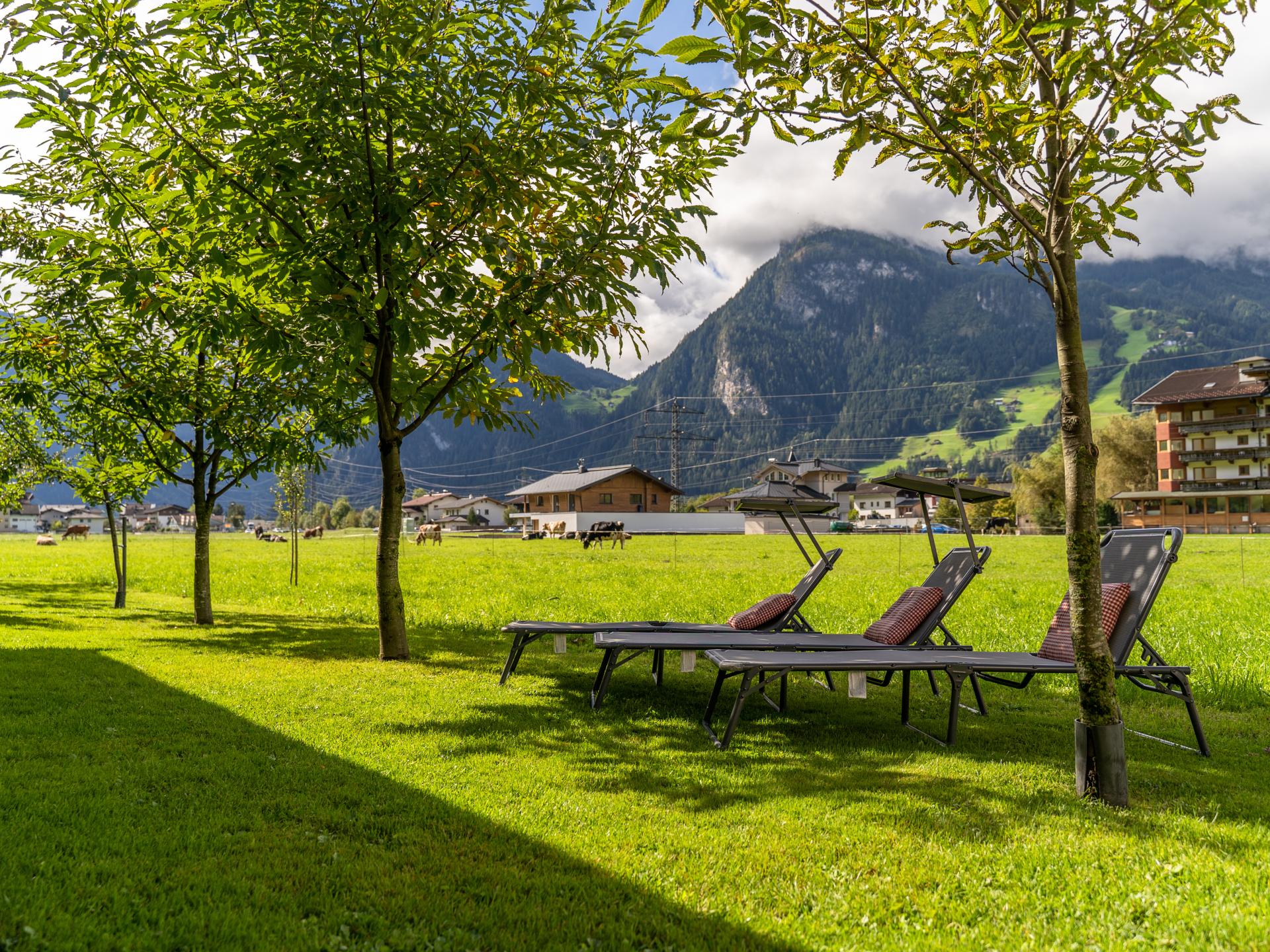 Ruime boerderijwoning voor 18 gasten aan de piste bij Mayrhofen - foto 33