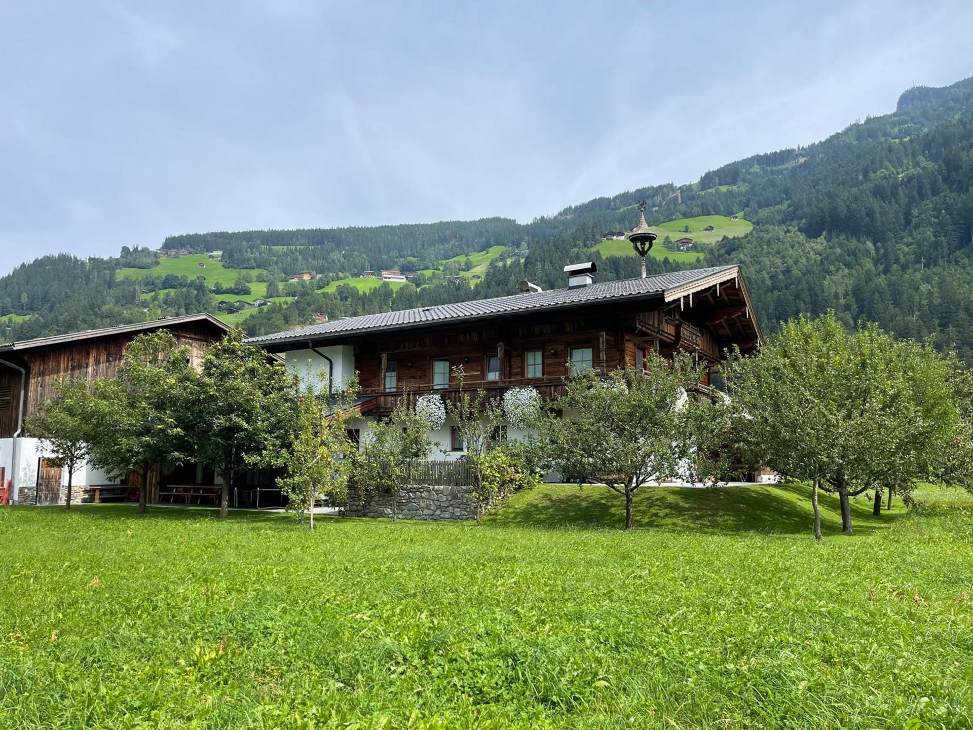 Ruime boerderijwoning voor 18 gasten aan de piste bij Mayrhofen - foto 43