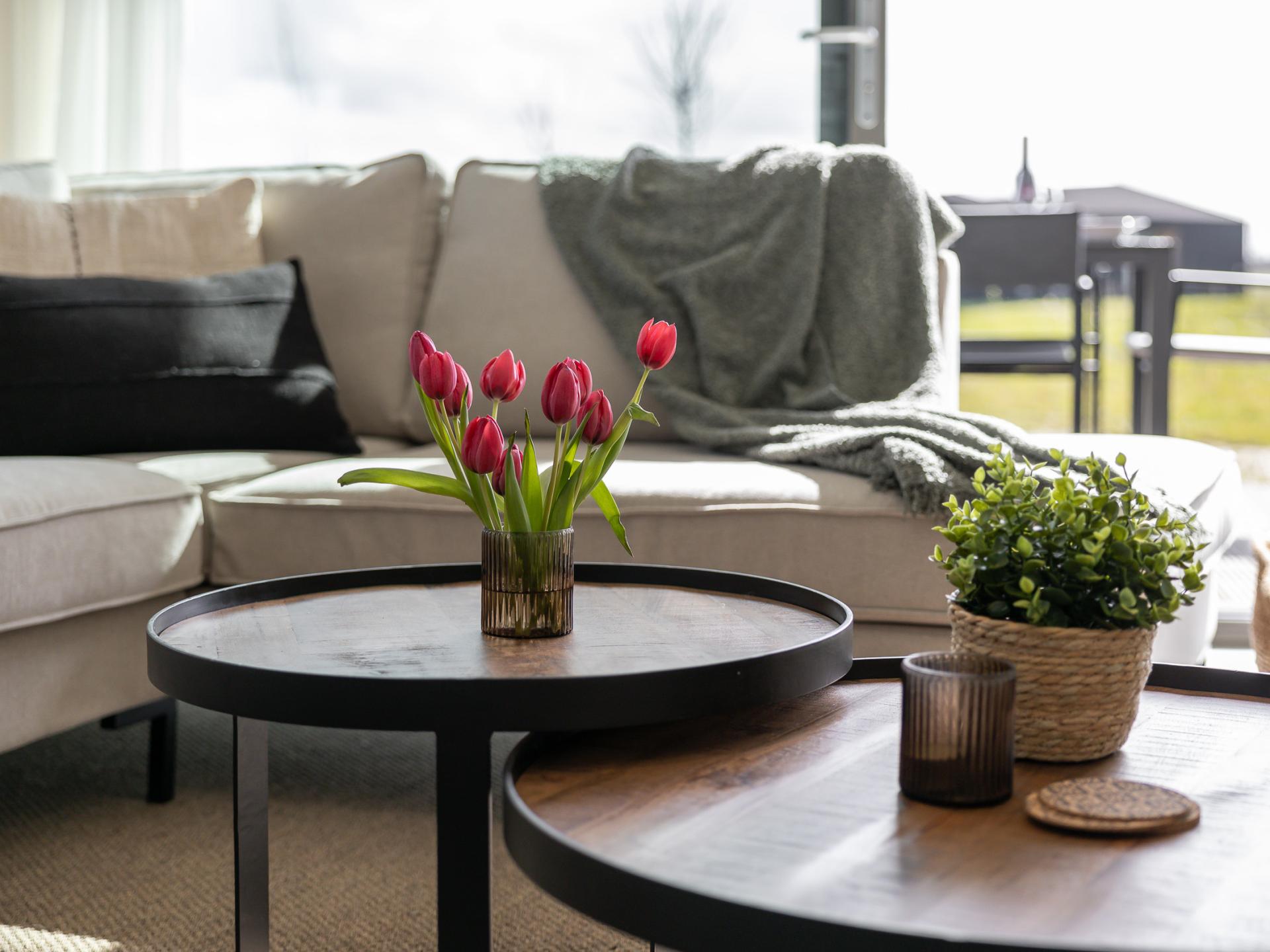 Modern vakantiehuis met wijds uitzicht over Zeeuwse polders, nabij strand - foto 58