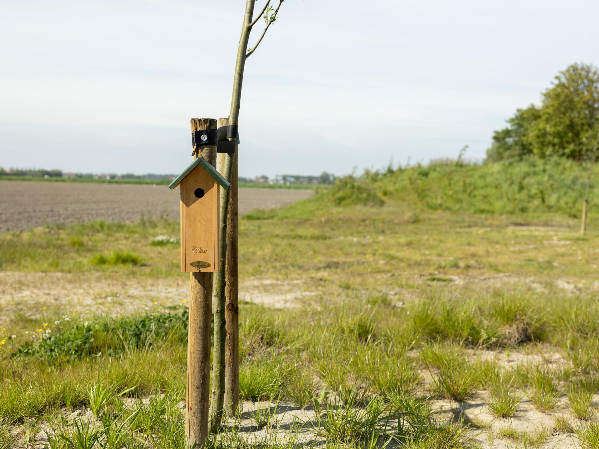 Vrijstaand natuurhuis met weids uitzicht over Zeeuwse landerijen - foto 25