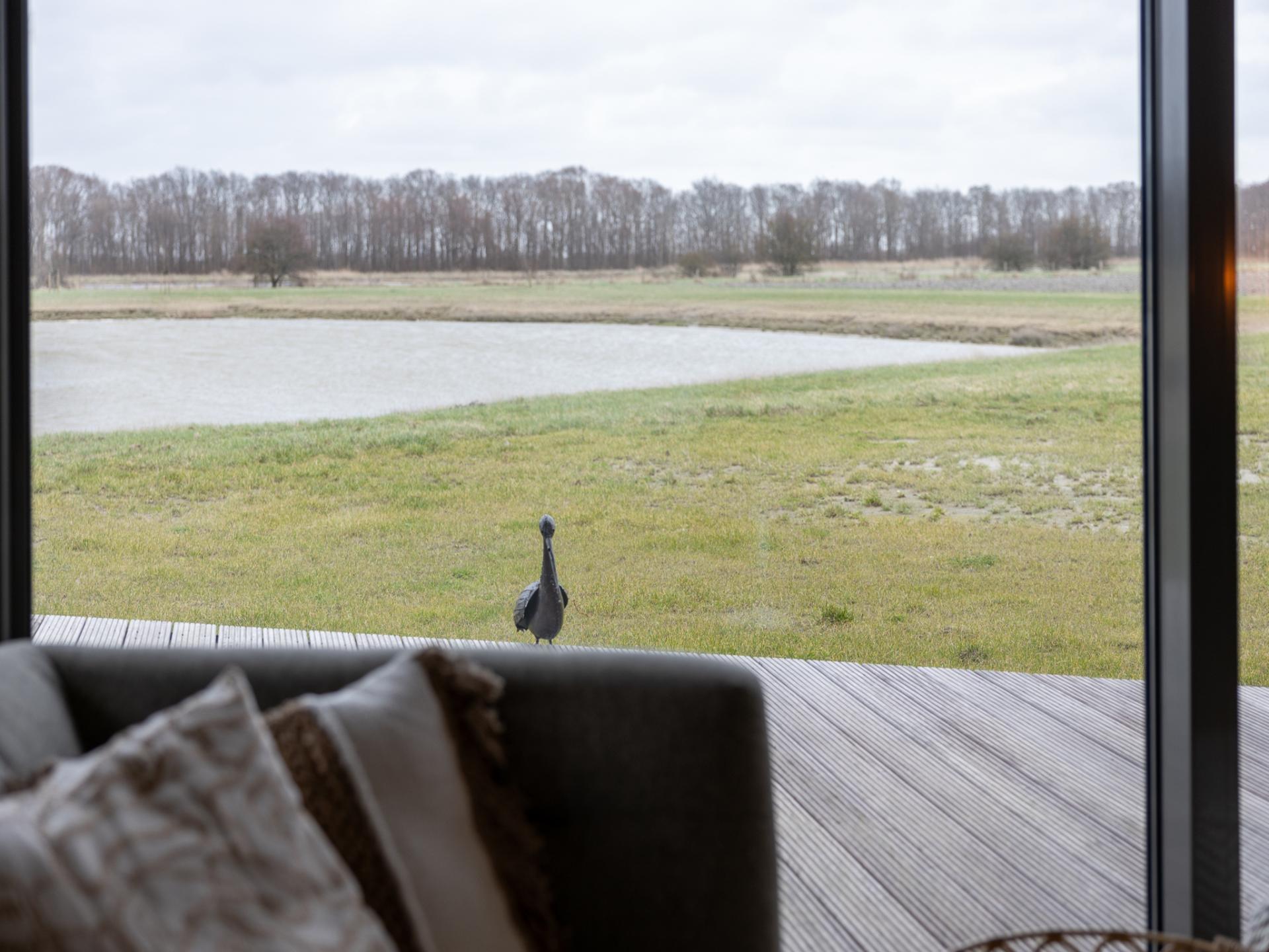 Natuurhuis met meergezicht in polderlandschap van Wissenkerke, Zeeland - foto 30