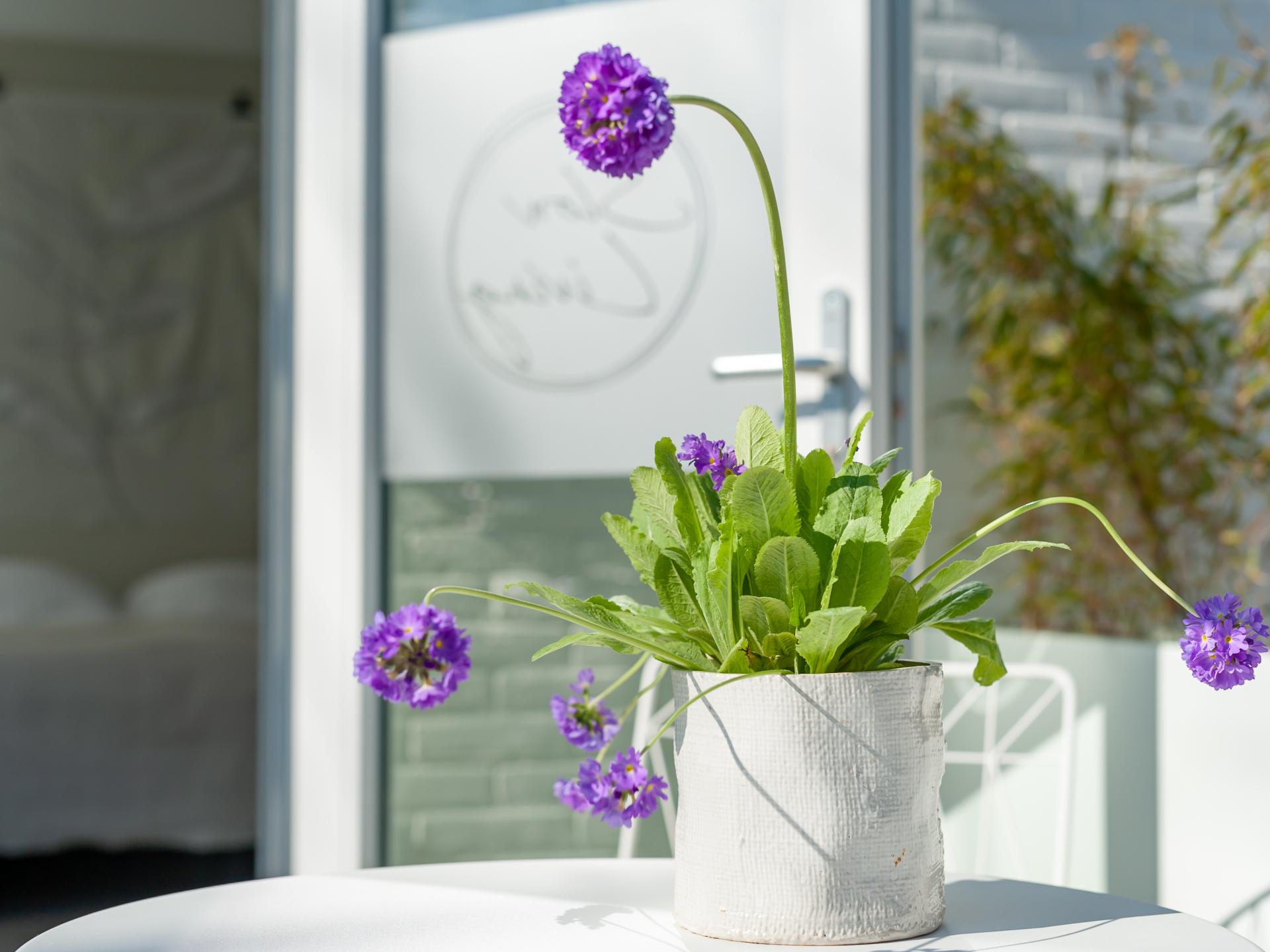 Slow Living Suite bij strand Oostkapelle – Ontspan aan de Zeeuwse kust - foto 22