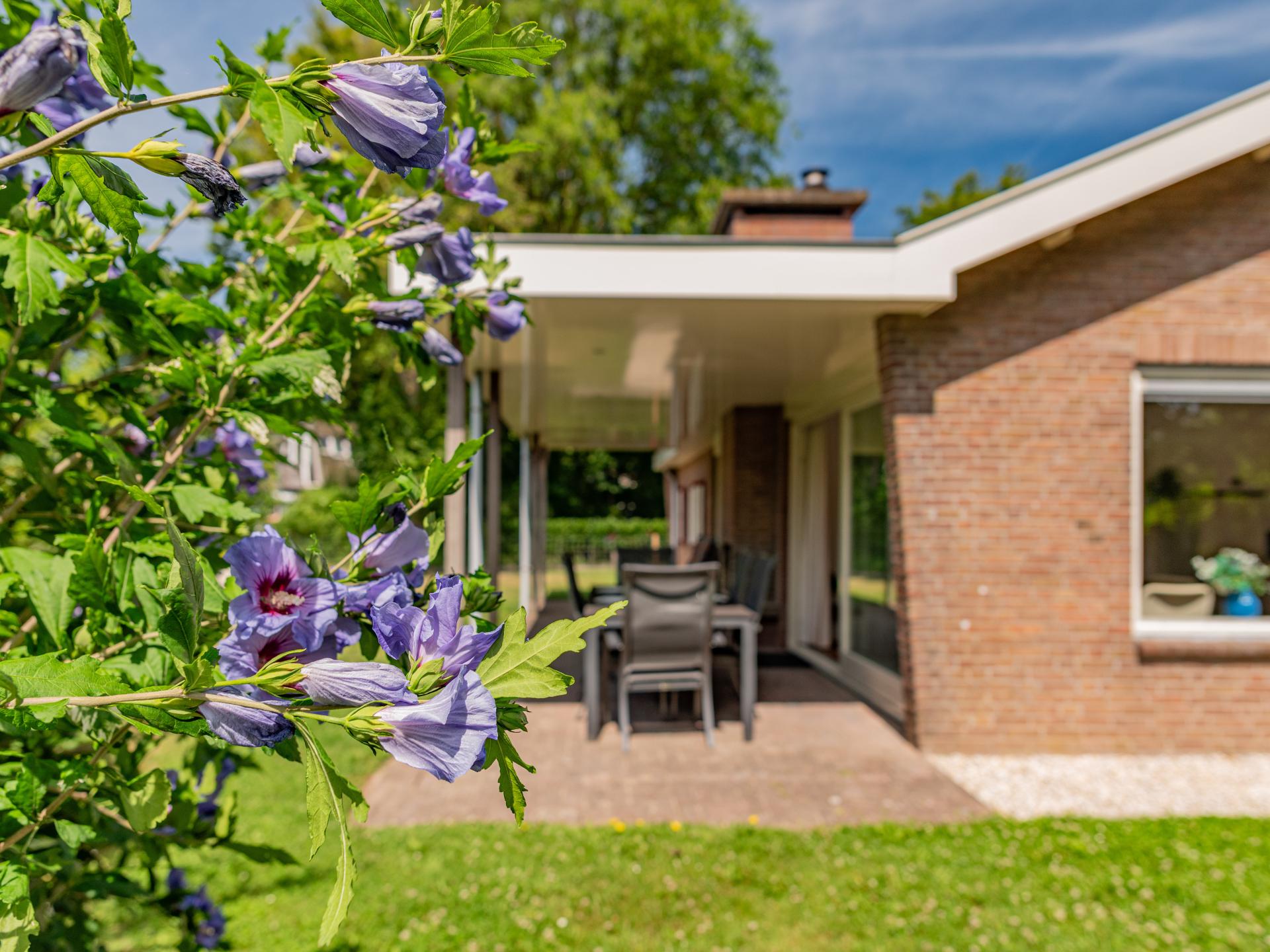 Vrijstaande strandbungalow met tuin op 110m van zee in Kamperland - foto 26