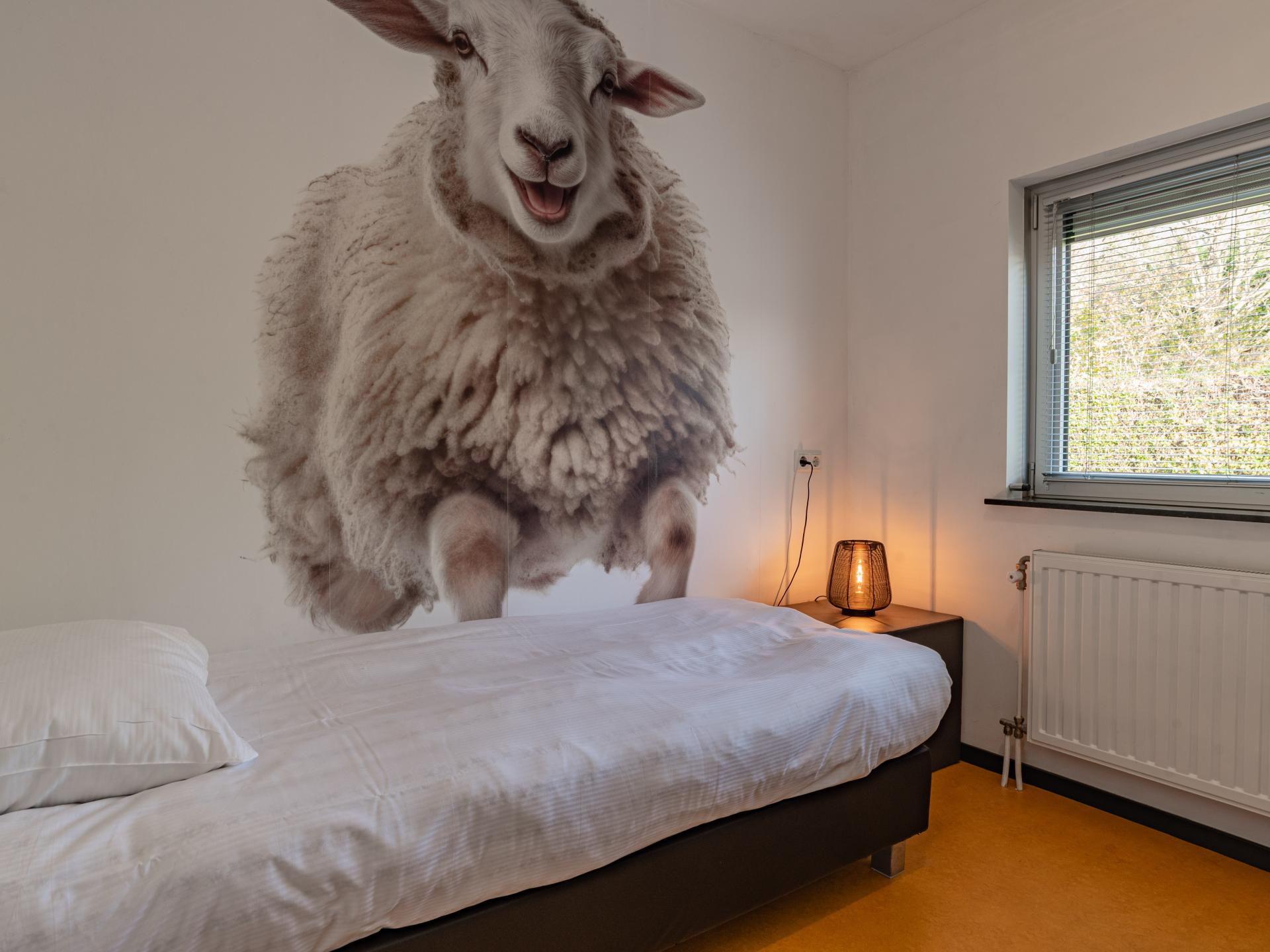 Vrijstaand duinhuis met zeezicht, 6 pers., 390m van centrum Kamperland - foto 20