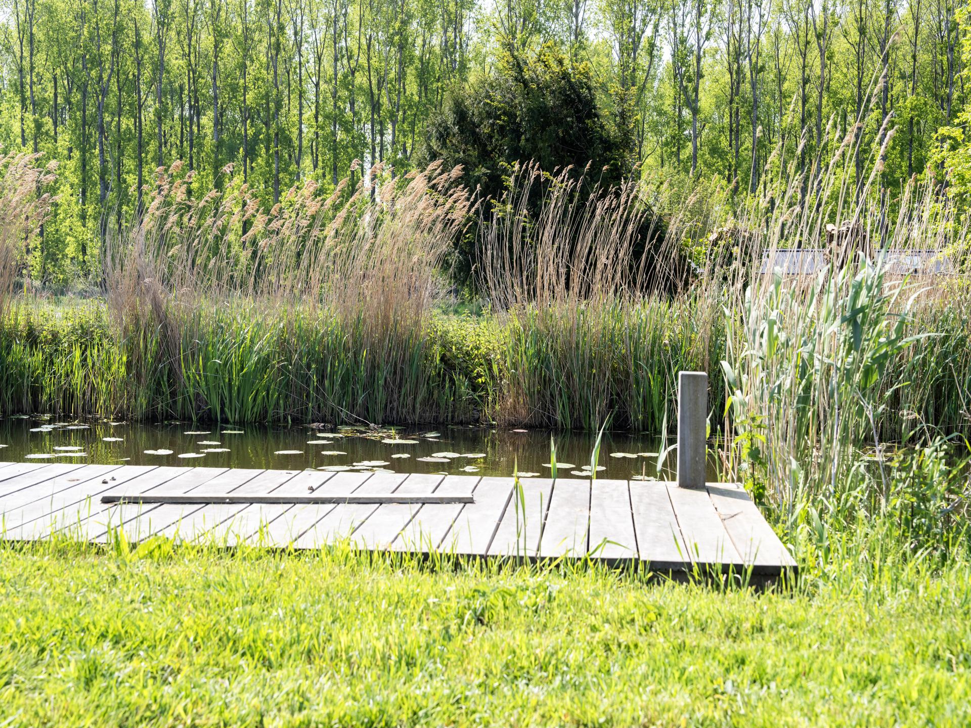 Vrijstaand vakantiehuis aan het water in het Groene Hart van Oud Ade - foto 23