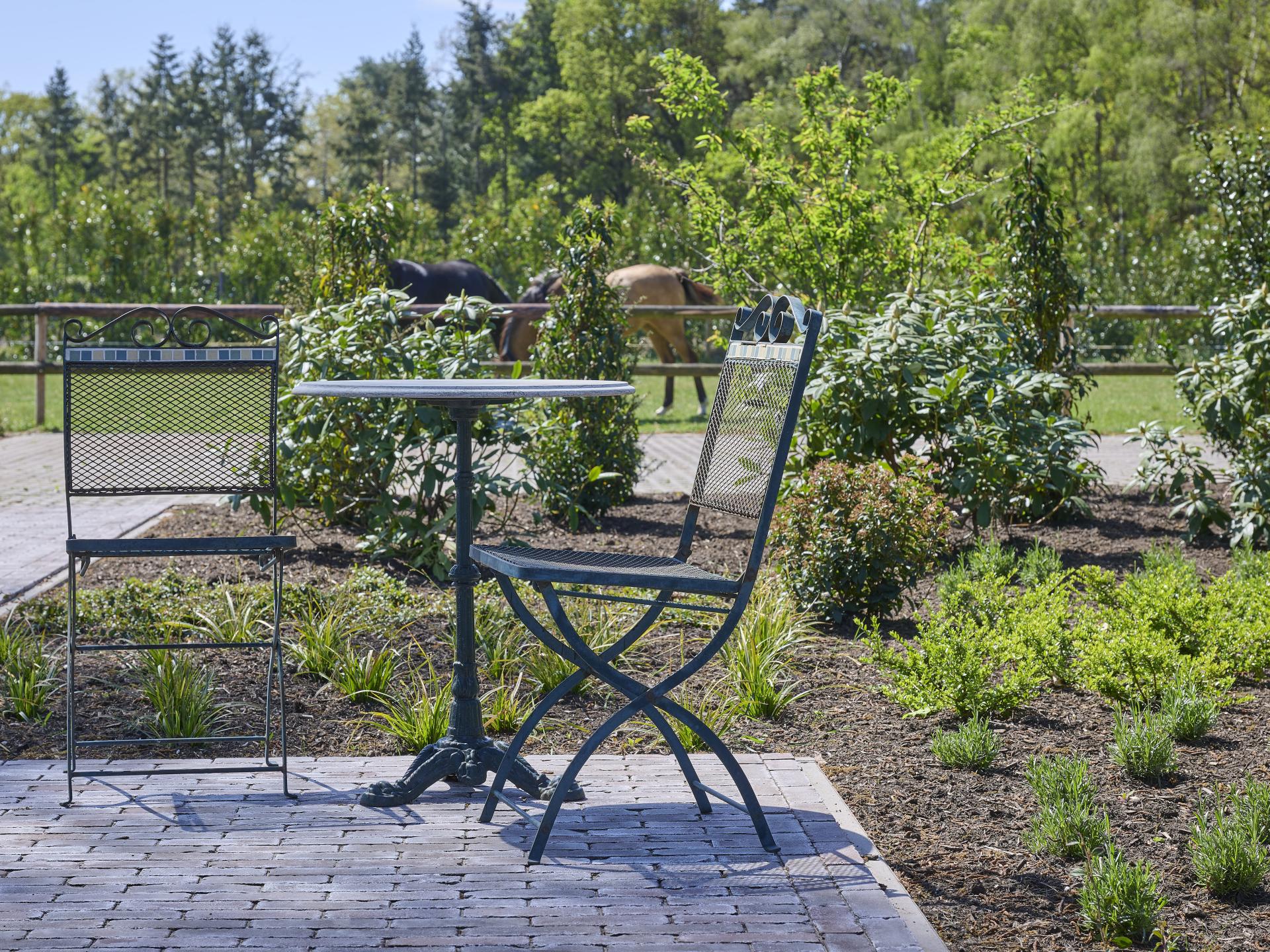 Guesthouse het Koetshuis: Luxe landelijke bungalow met jacuzzi & sauna - foto 32
