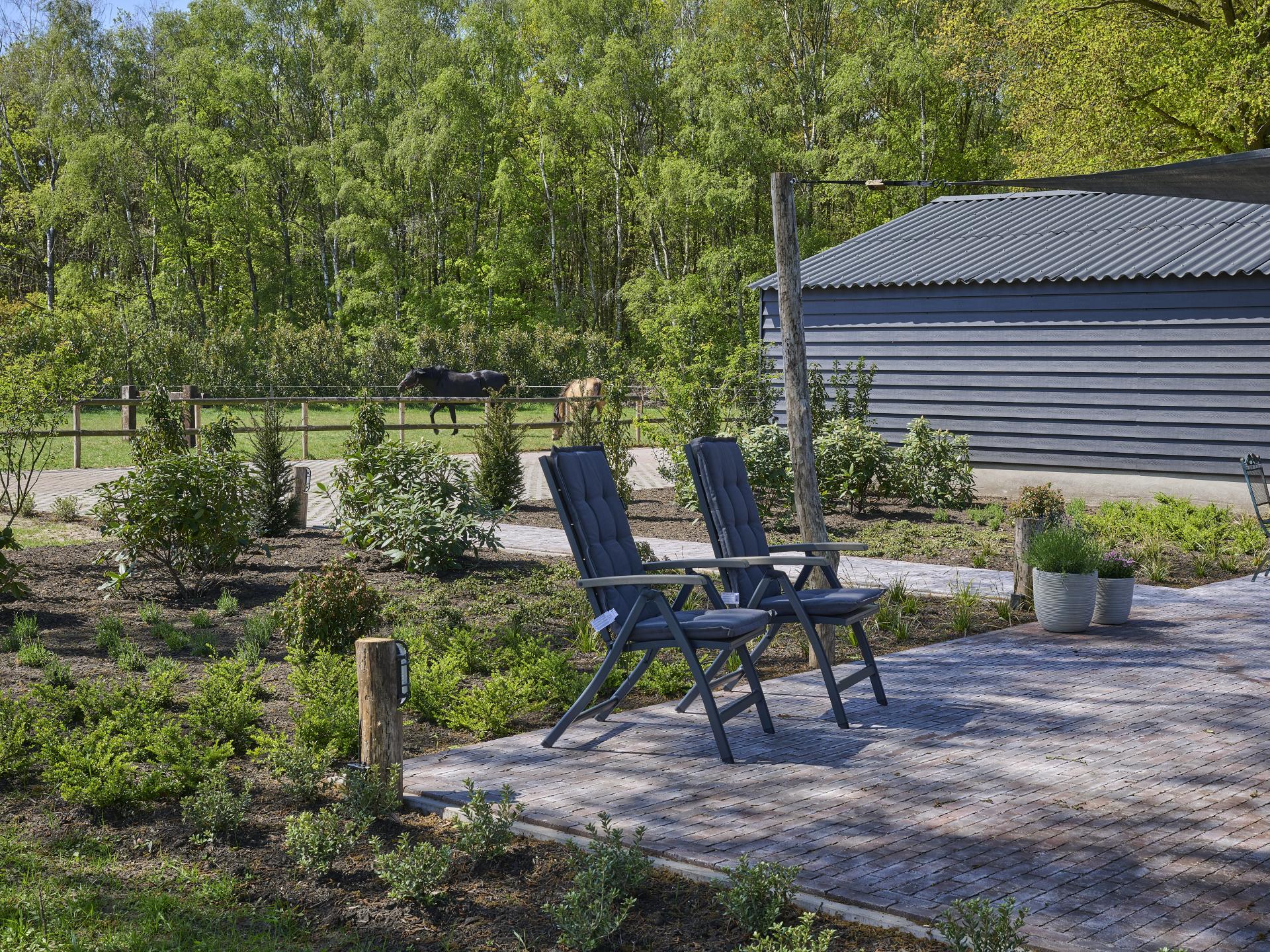 Guesthouse het Koetshuis: Luxe landelijke bungalow met jacuzzi & sauna - foto 31