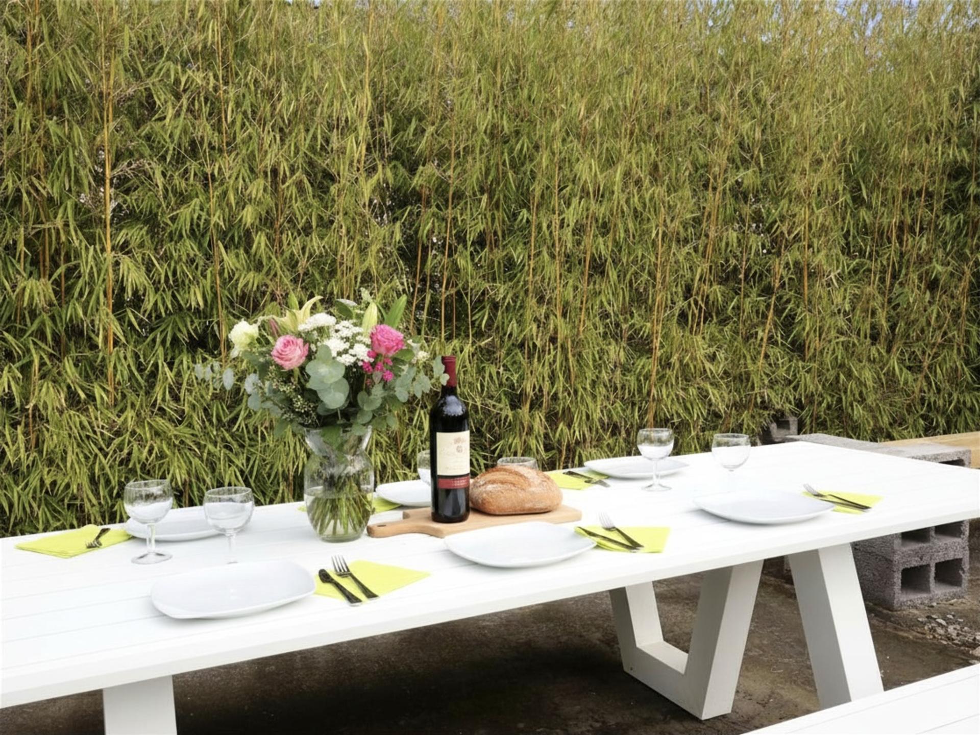 Ruim gezinschalet aan de bosrand bij Biron met grote tuin - foto 35