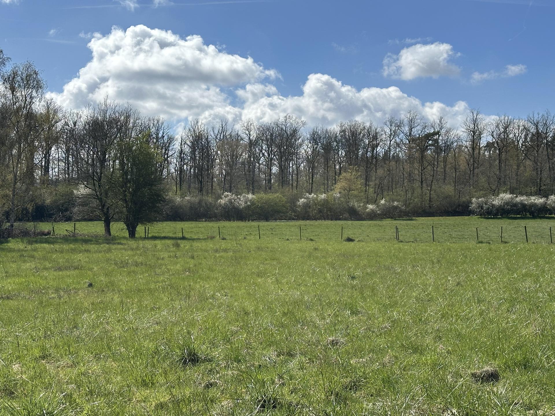 Ruim gezinschalet aan de bosrand bij Biron met grote tuin - foto 40