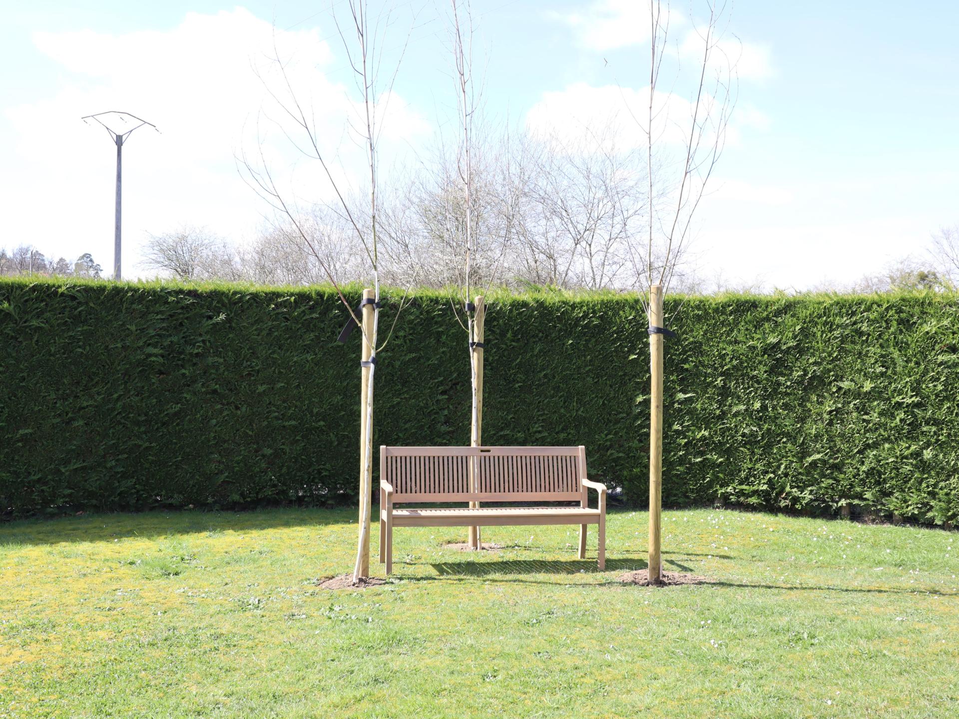 Ruim gezinschalet aan de bosrand bij Biron met grote tuin - foto 37