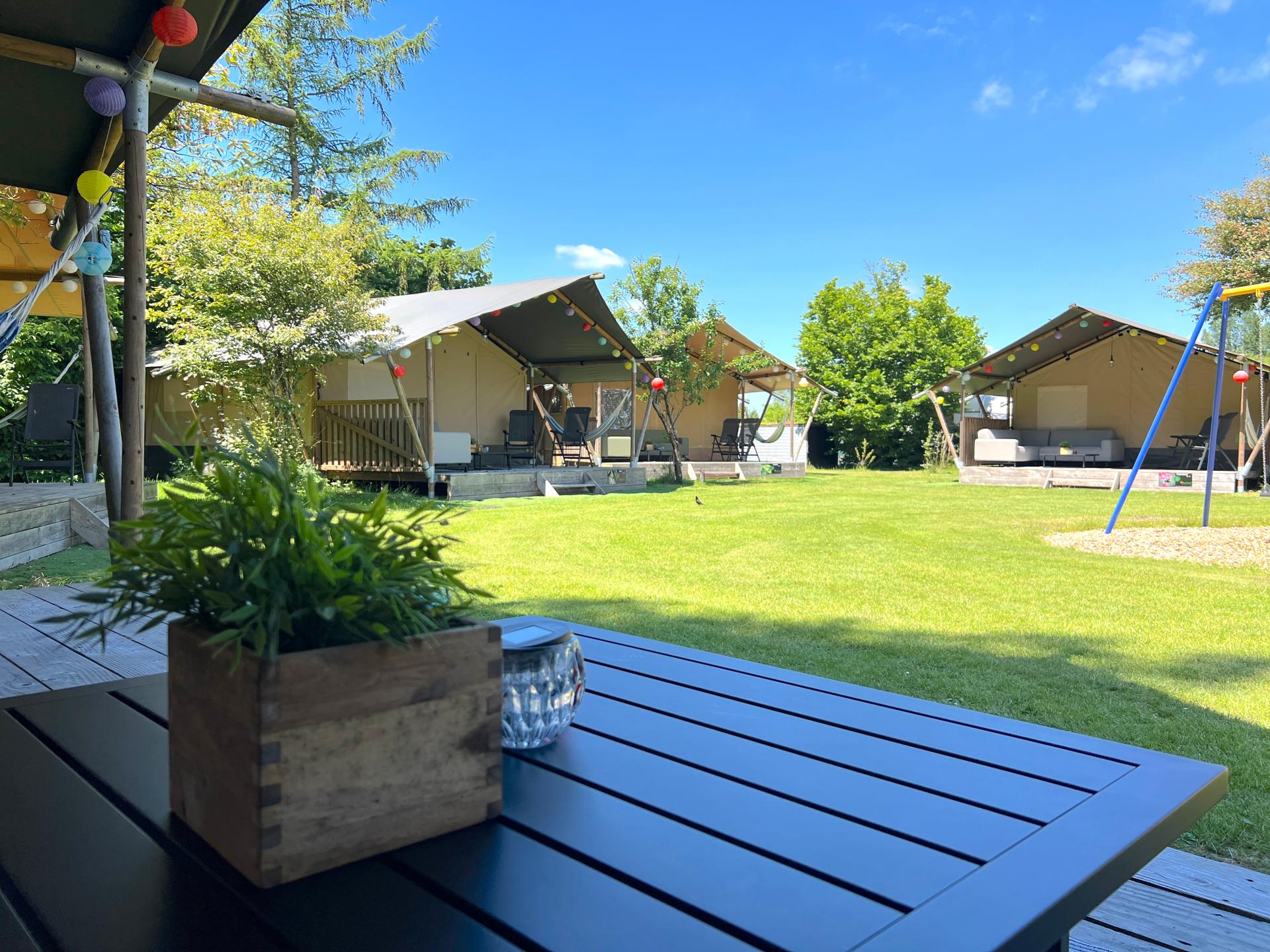 Luxe safaritent op de Veluwe met speeltuin en bosrijke omgeving - foto 18