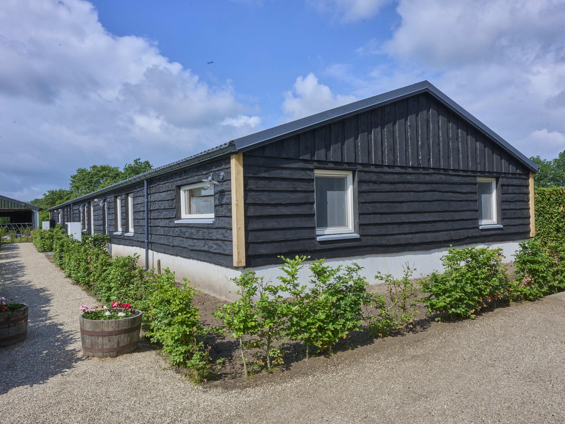 Ruime 6-persoons bungalow met weids uitzicht in het groene Diessen - foto 40