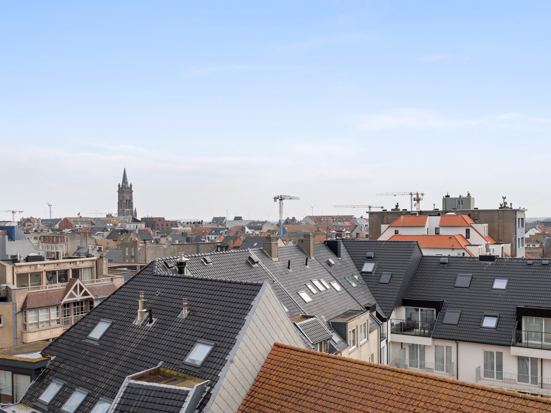 Zonnig appartement met zeezicht op de Zeedijk in Blankenberge - foto 10