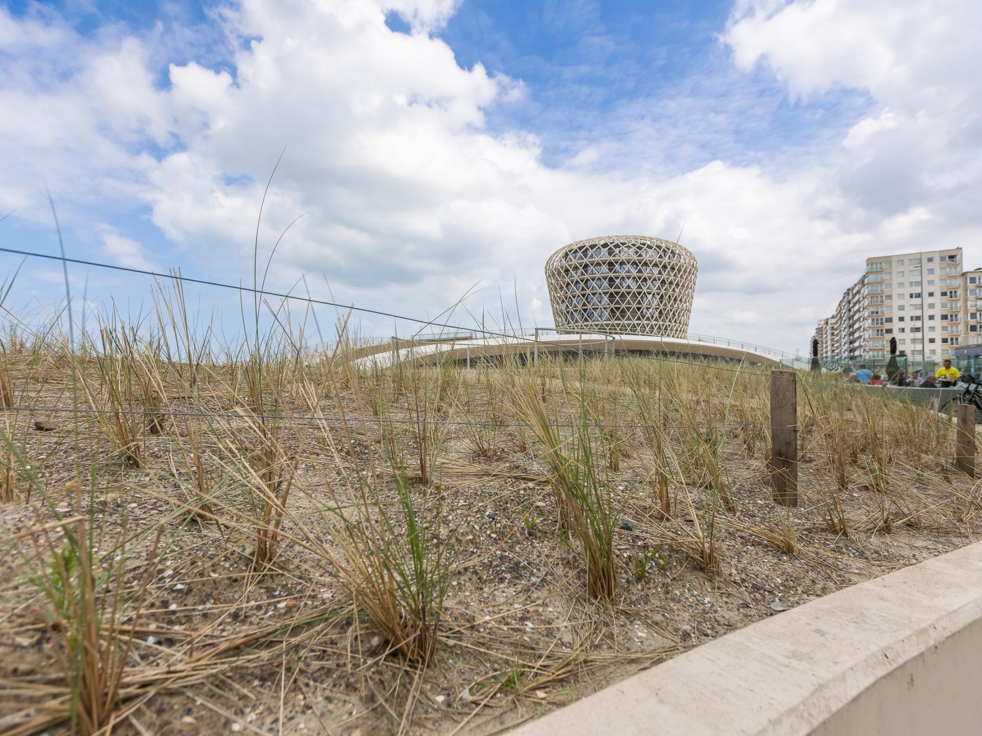 In het centrum van Middelkerke: 4-persoons landhuis met zeezicht - foto 12