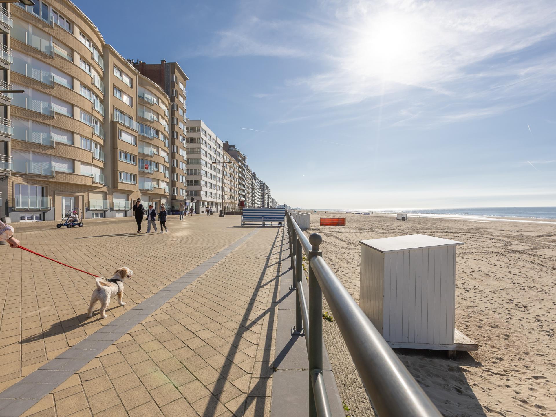 Zonovergoten appartement met panoramisch zeezicht in Middelkerke - foto 13