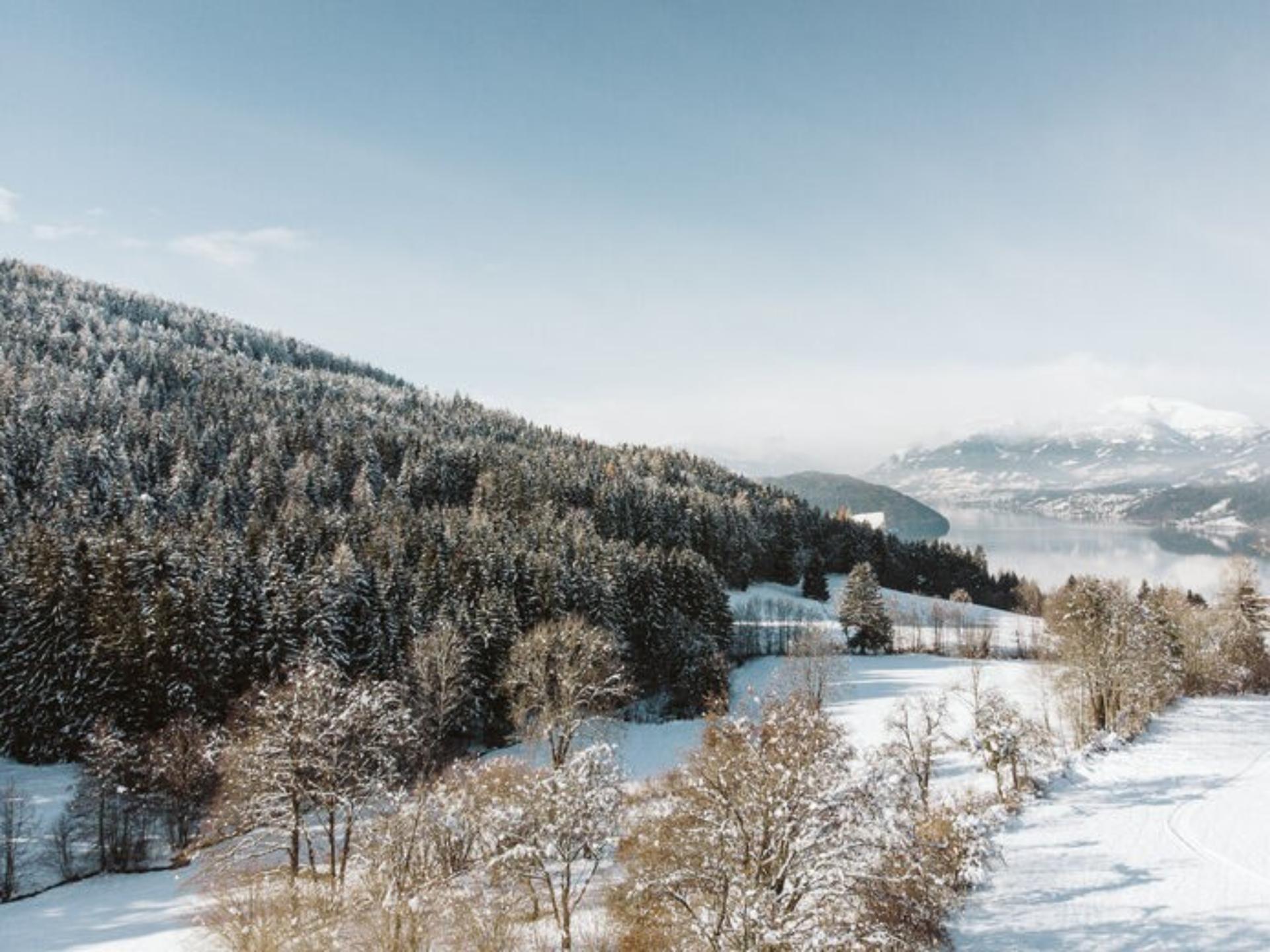 Luxe chalet met sauna en uitzicht op de Afritzer See – 8 personen - foto 35