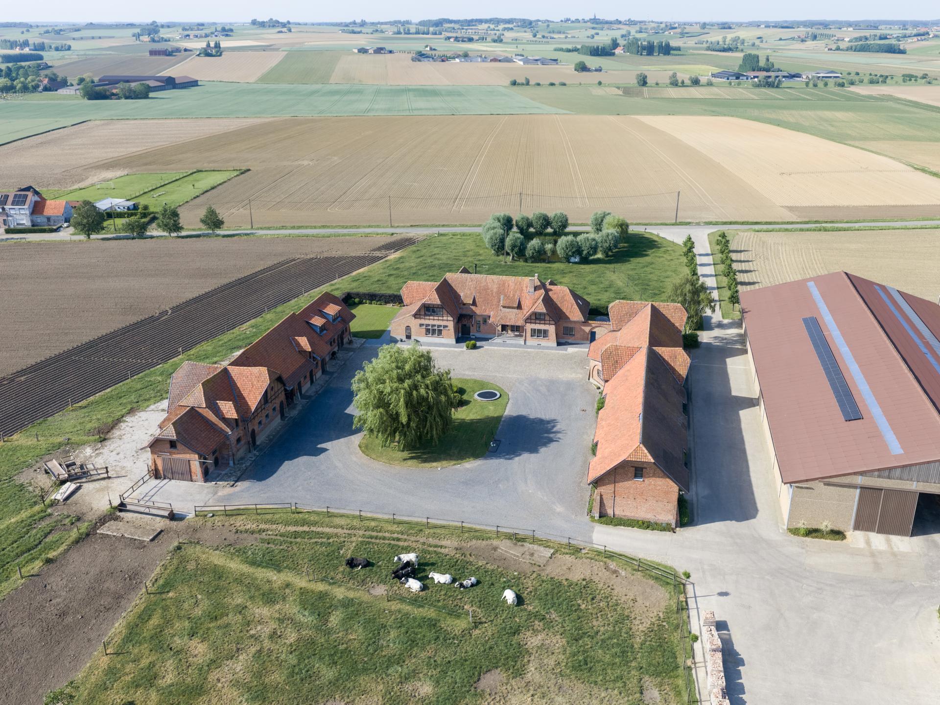 Ruim vakantiehuis voor 10 personen op actieve hoeve in Ploegsteert - foto 59