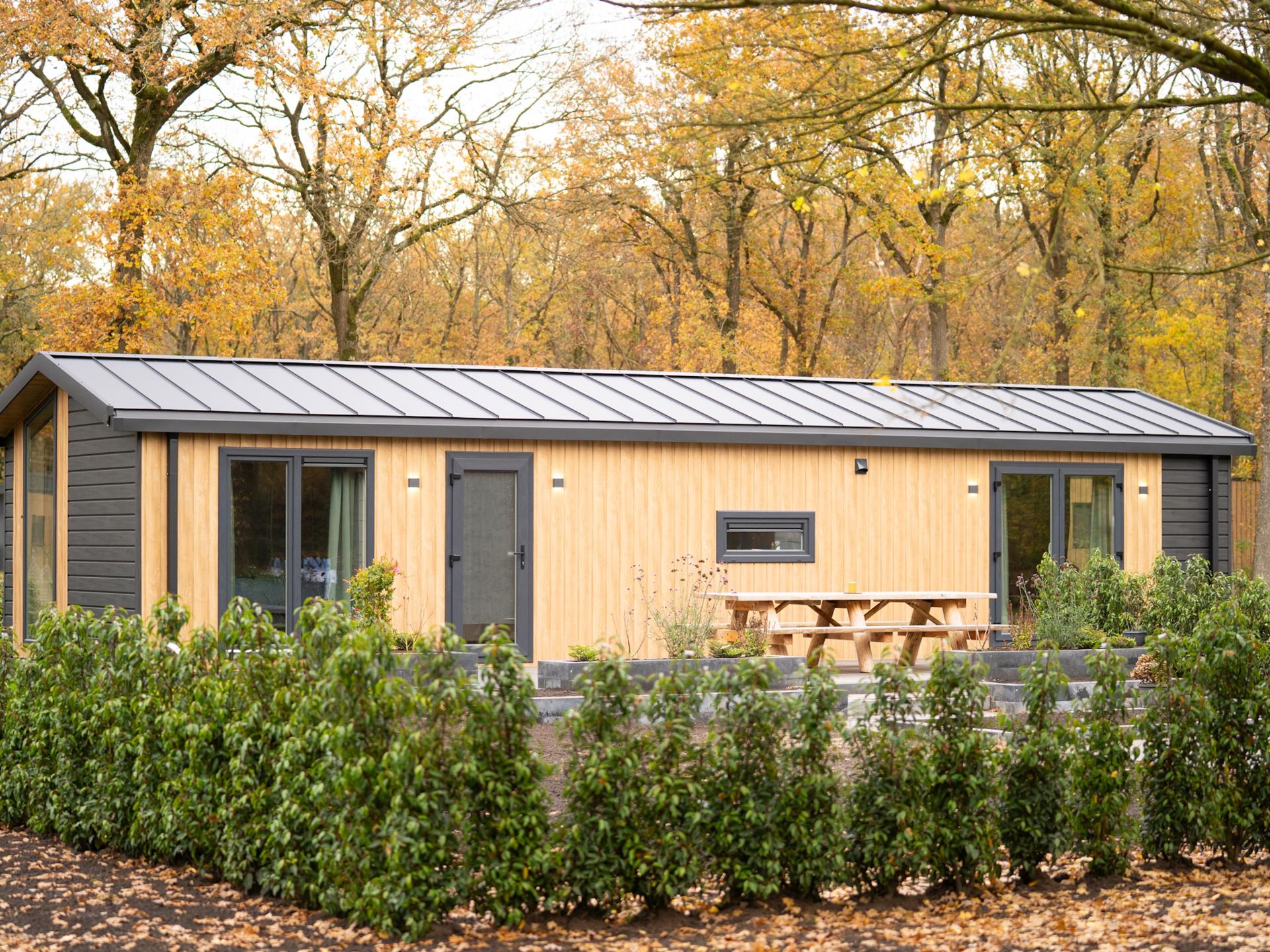 Aekinger Lodge: Modern chalet midden in het Drents-Friese Wold - foto 8