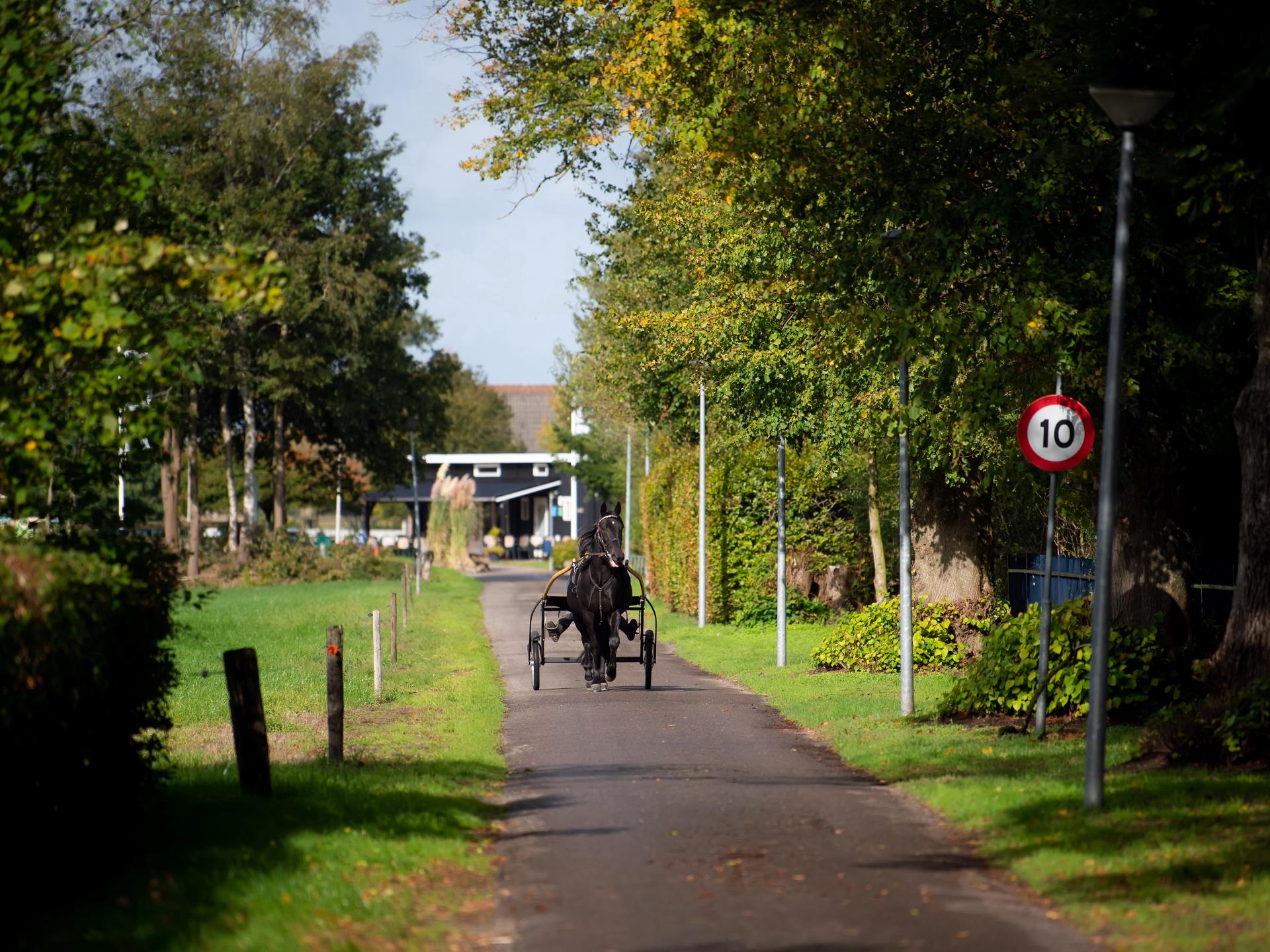 Aekinger Lodge: Modern chalet midden in het Drents-Friese Wold - foto 9