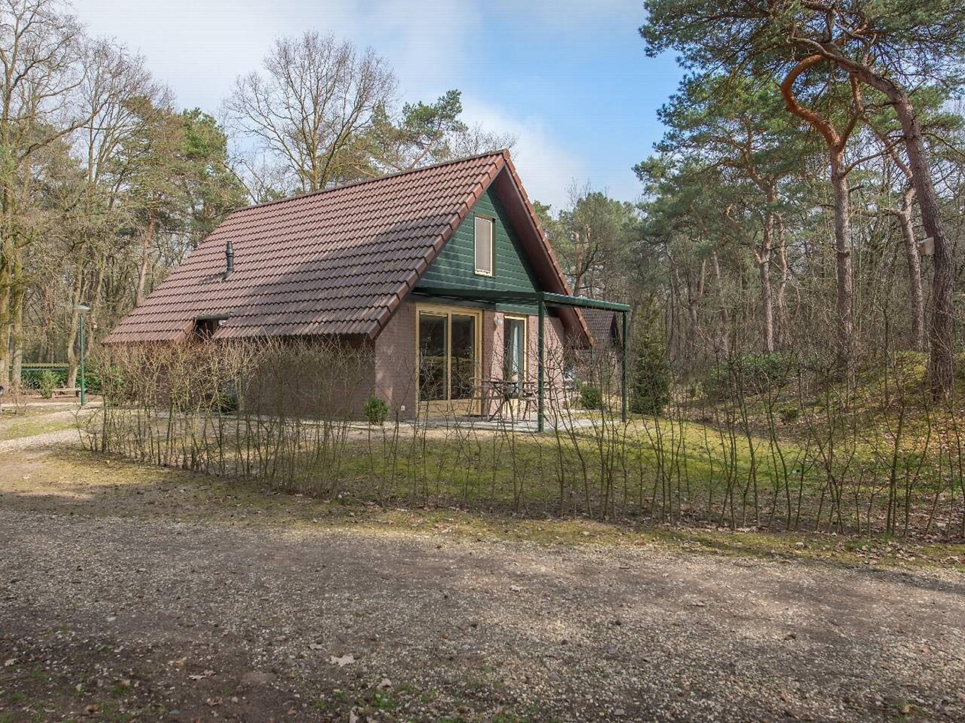 Vrijstaande lodge in het groen van Heesch | 3 slaapkamers & huisdieren welkom - foto 7